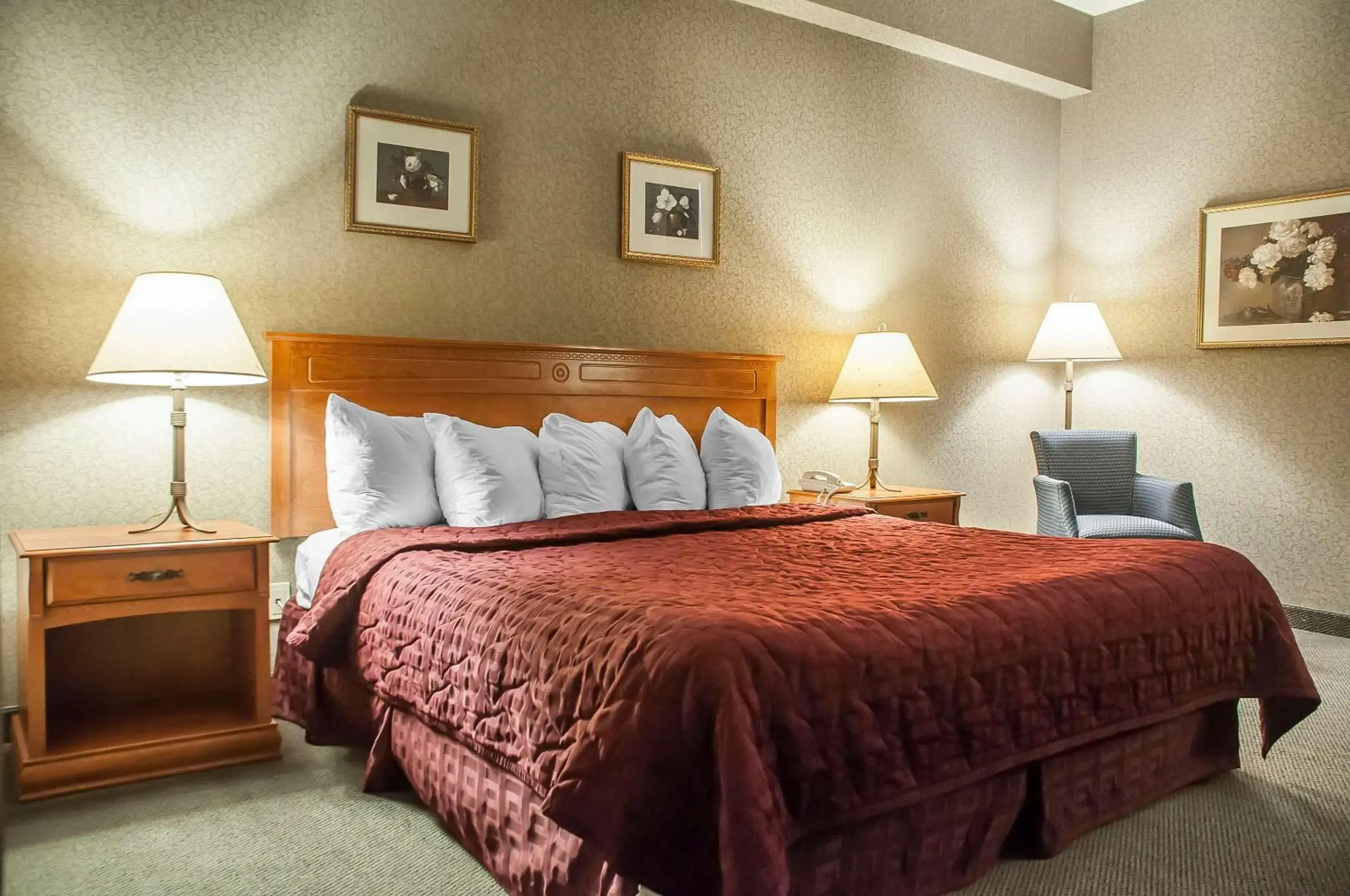 King Room - Ground Floor - Non-Smoking in Comfort Inn Lundy's Lane King Room - Ground Floor - Non-Smoking in Comfort Inn Lundy's Lane