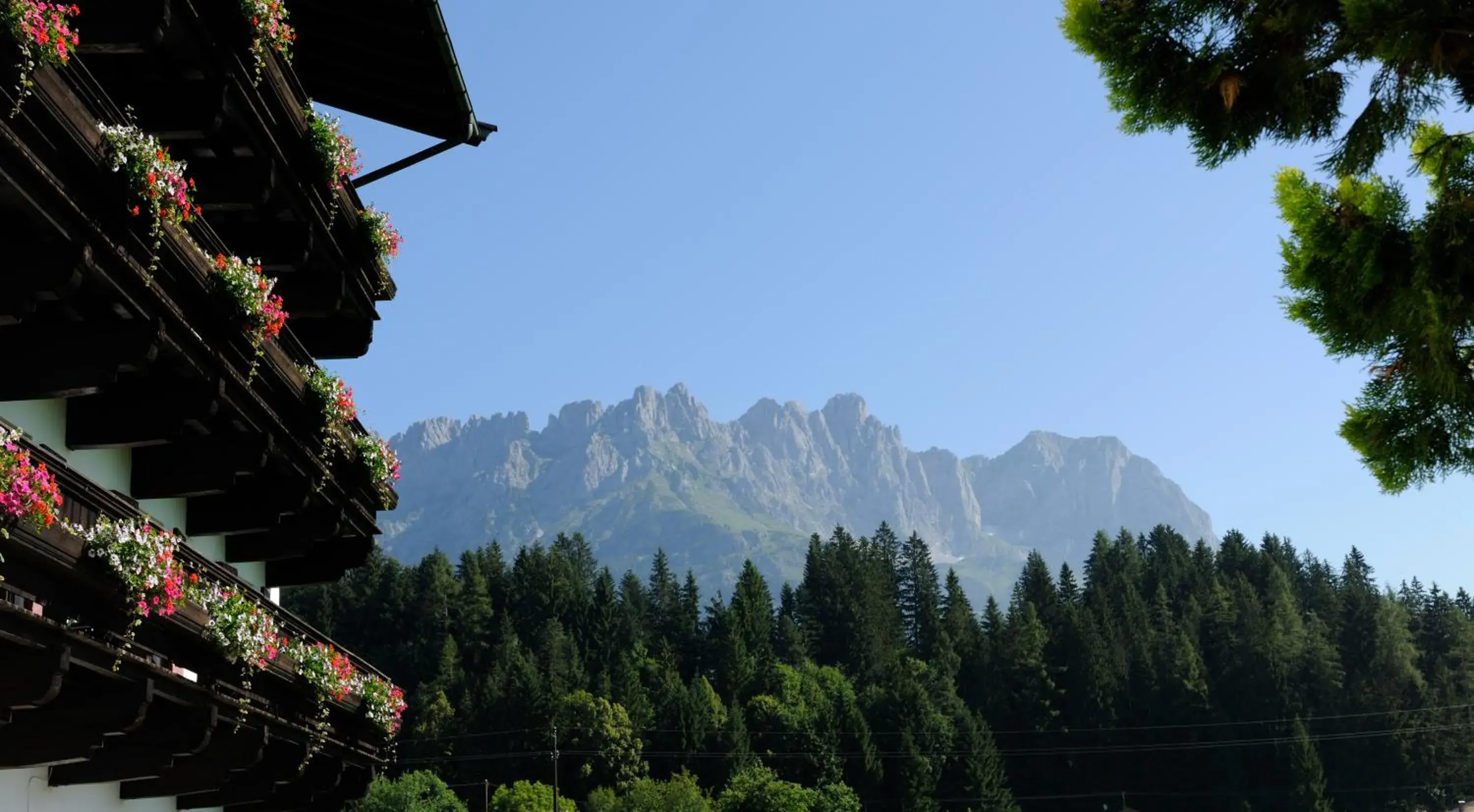 Superior Single Room in Hotel Blattlhof Superior Single Room in Hotel Blattlhof