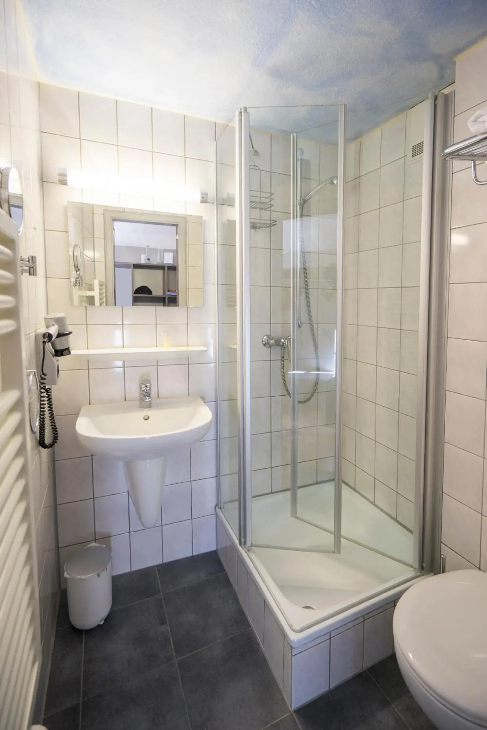 Economy Zimmer 1-2 - single occupancy in Badischer Hof Economy Zimmer 1-2 - single occupancy in Badischer Hof