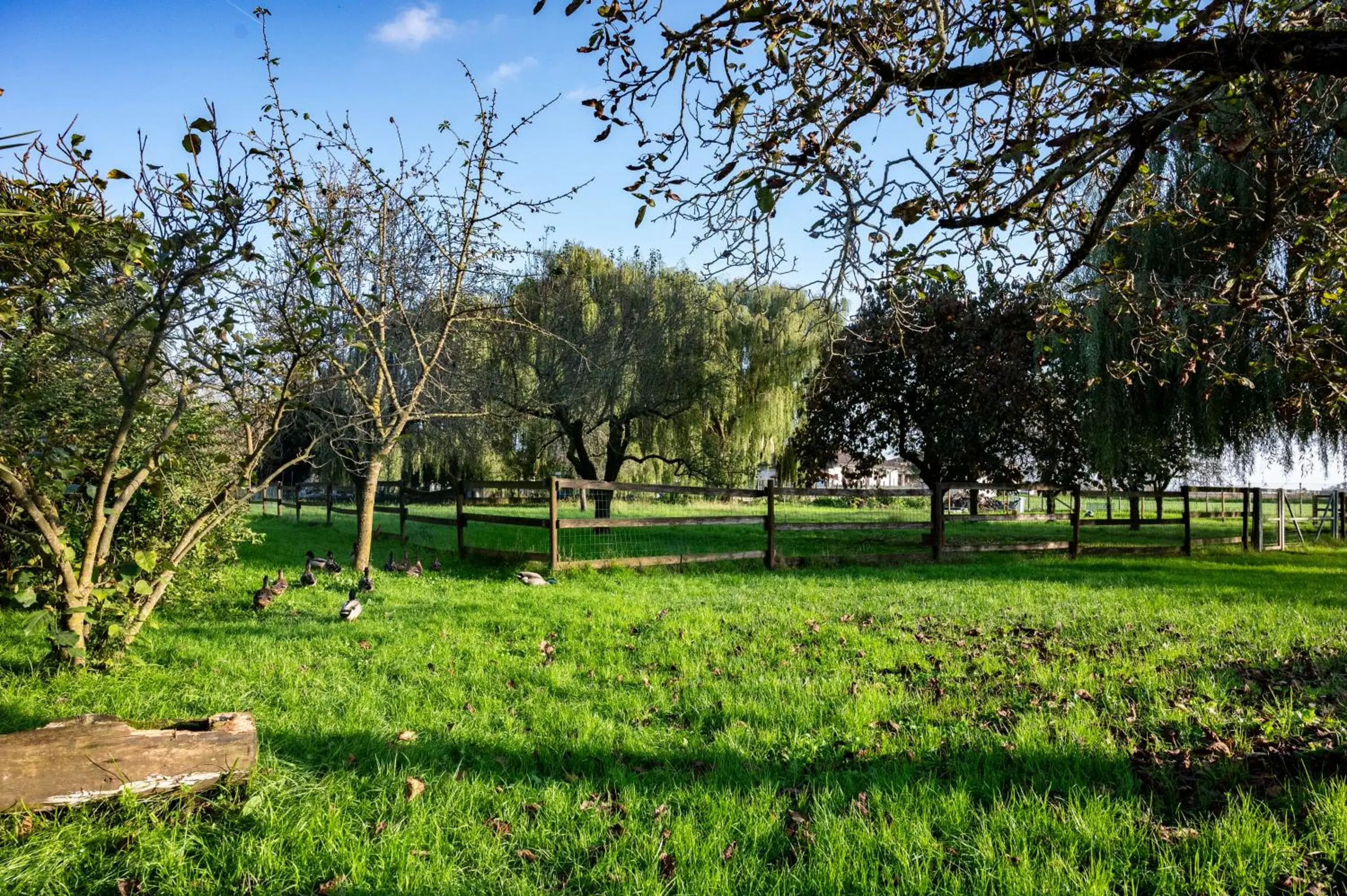 Triple Room in Agri Village Pavia Triple Room in Agri Village Pavia