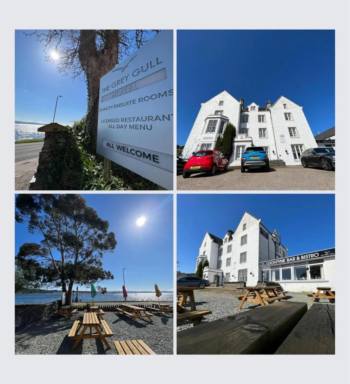 The Grey Gull Hotel The Grey Gull Hotel