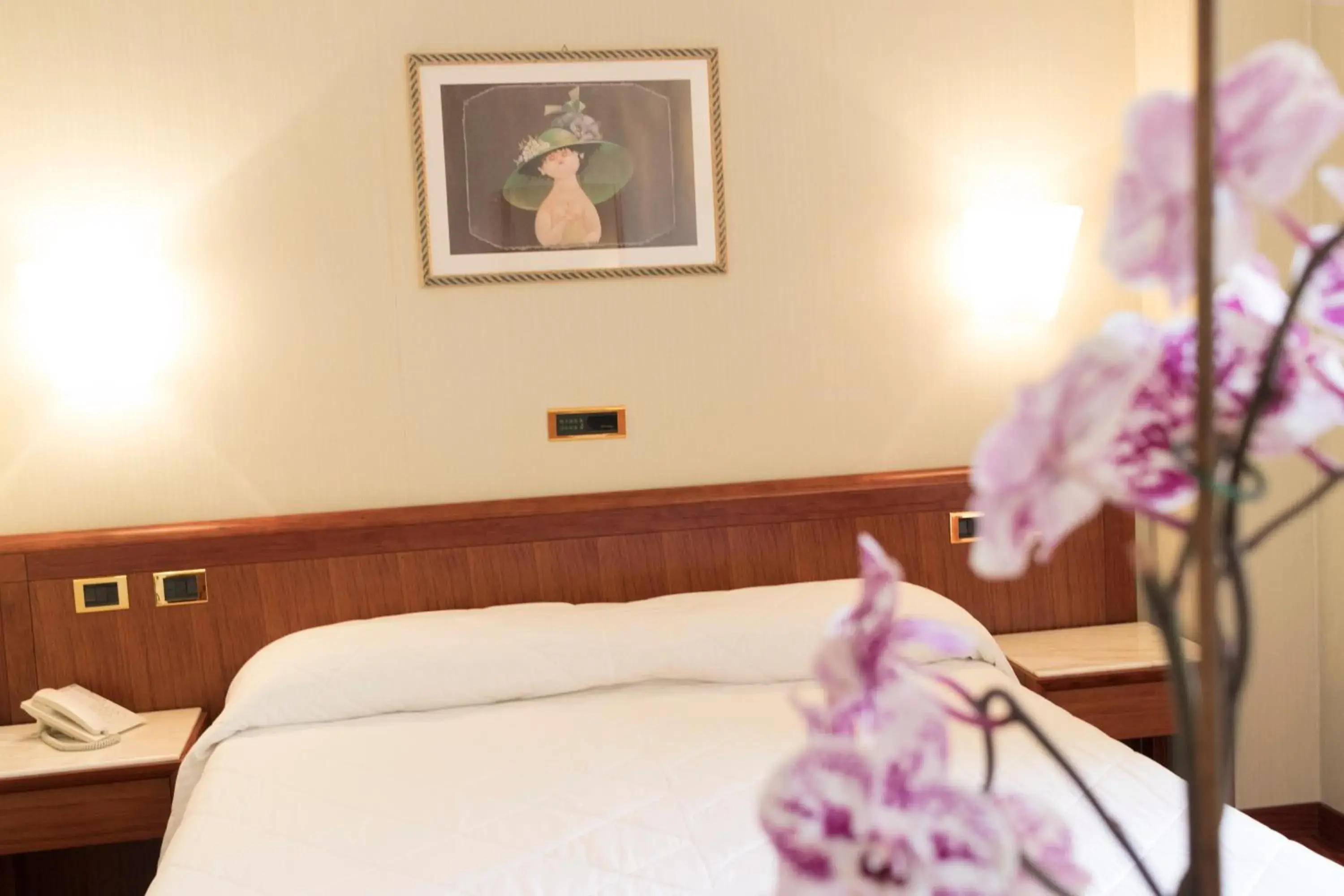 Economy Double Room - single occupancy in Palace Hotel Economy Double Room - single occupancy in Palace Hotel