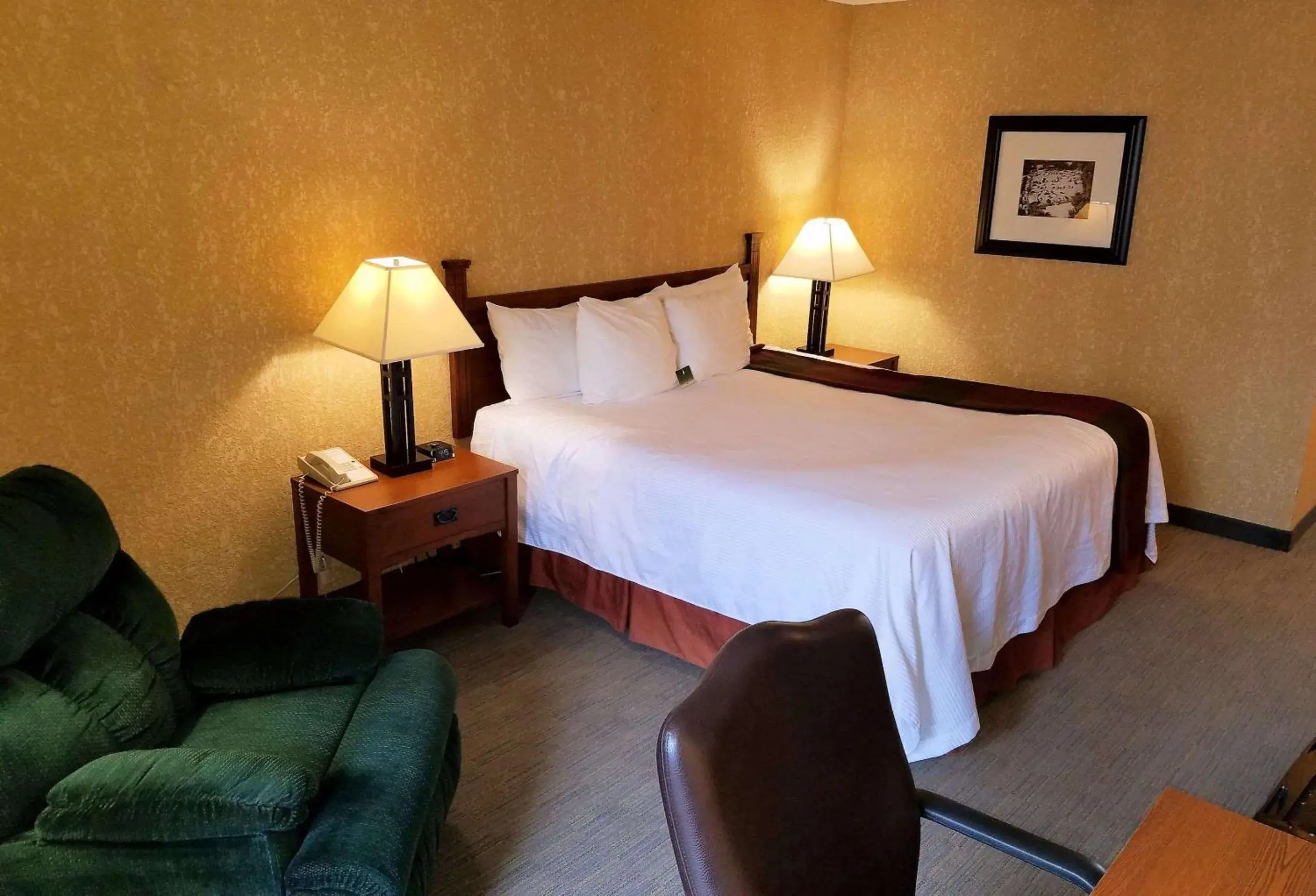 Queen Room with Roll-In Shower - Disability/Non-Smoking in Best Western Branson Inn and Conference Center Queen Room with Roll-In Shower - Disability/Non-Smoking in Best Western Branson Inn and Conference Center
