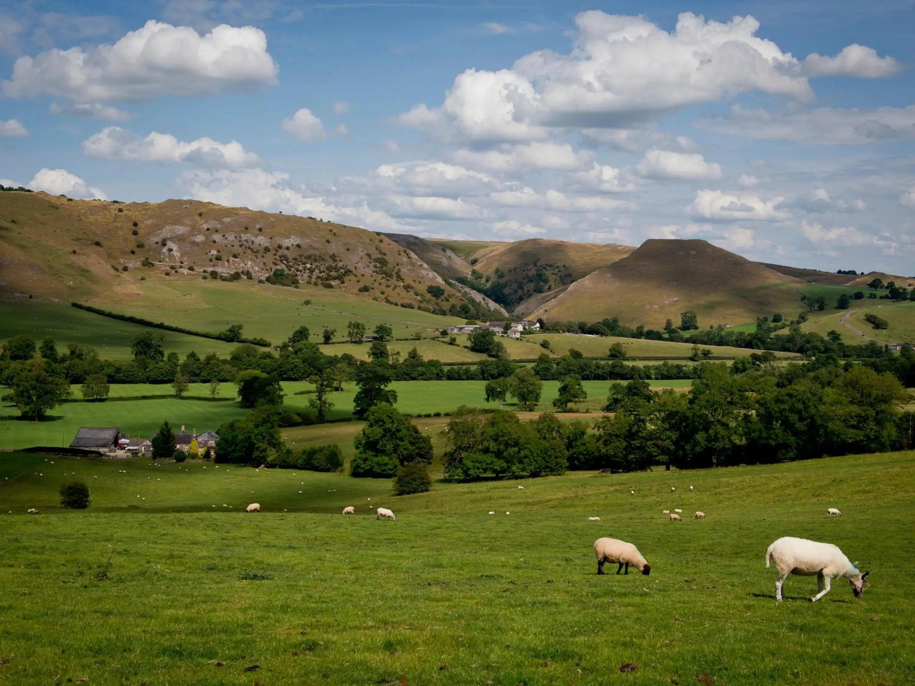 Family Room with Private Bathroom in YHA Ilam Hall Family Room with Private Bathroom in YHA Ilam Hall