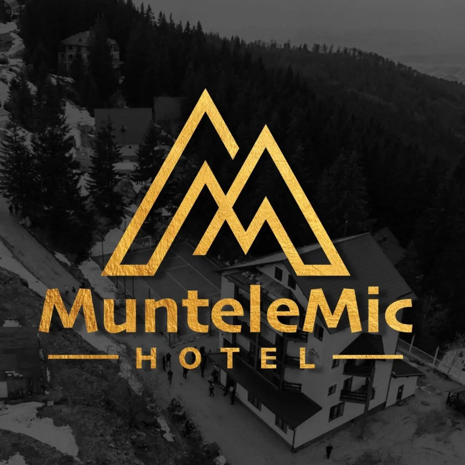 Hotel Muntele Mic Hotel Muntele Mic