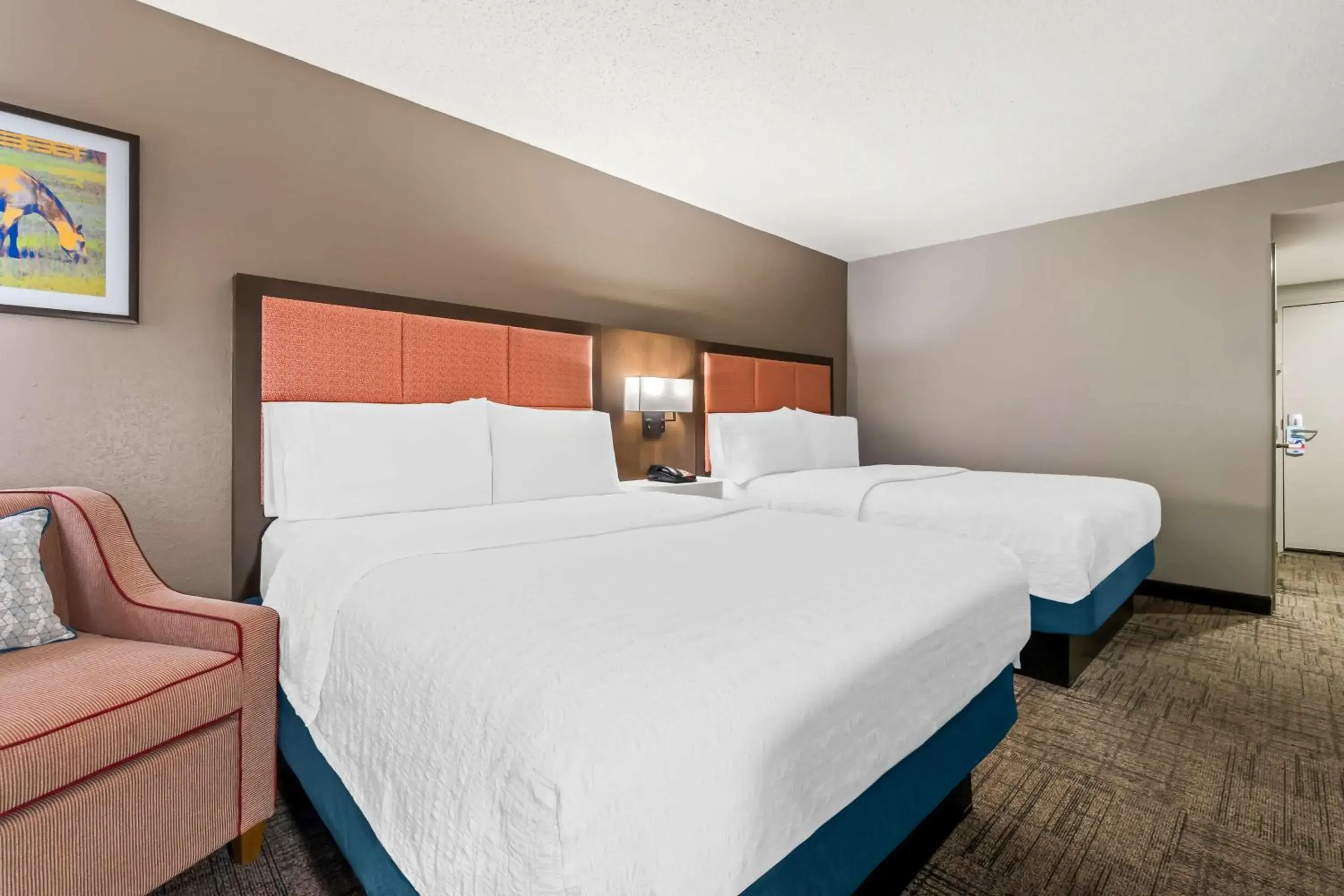 Double Room with Two Double Beds - Non-Smoking in Hampton Inn Jonesboro Double Room with Two Double Beds - Non-Smoking in Hampton Inn Jonesboro