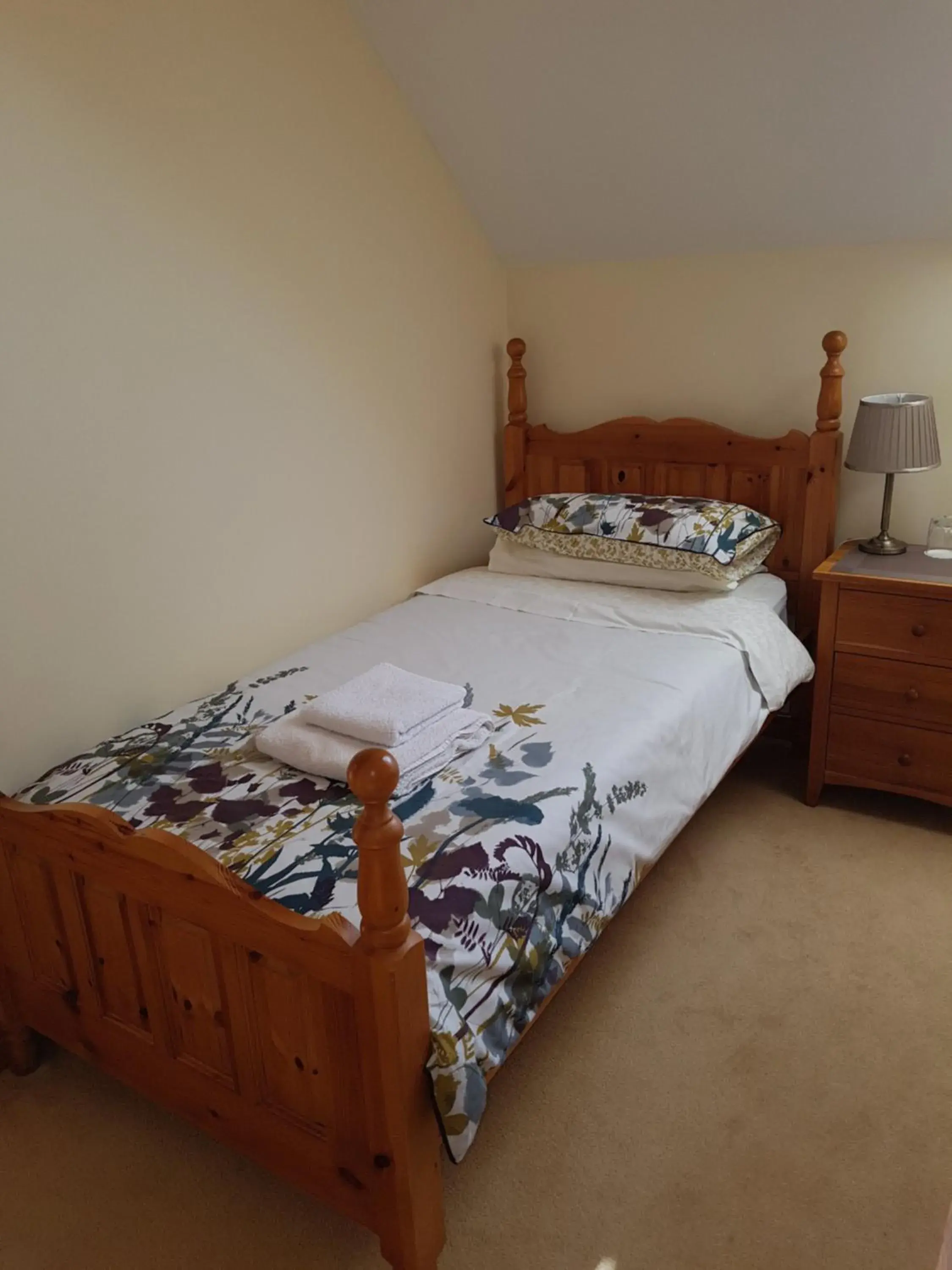 Single Room with Private Bathroom - single occupancy in Kilcreeny Lodge Single Room with Private Bathroom - single occupancy in Kilcreeny Lodge