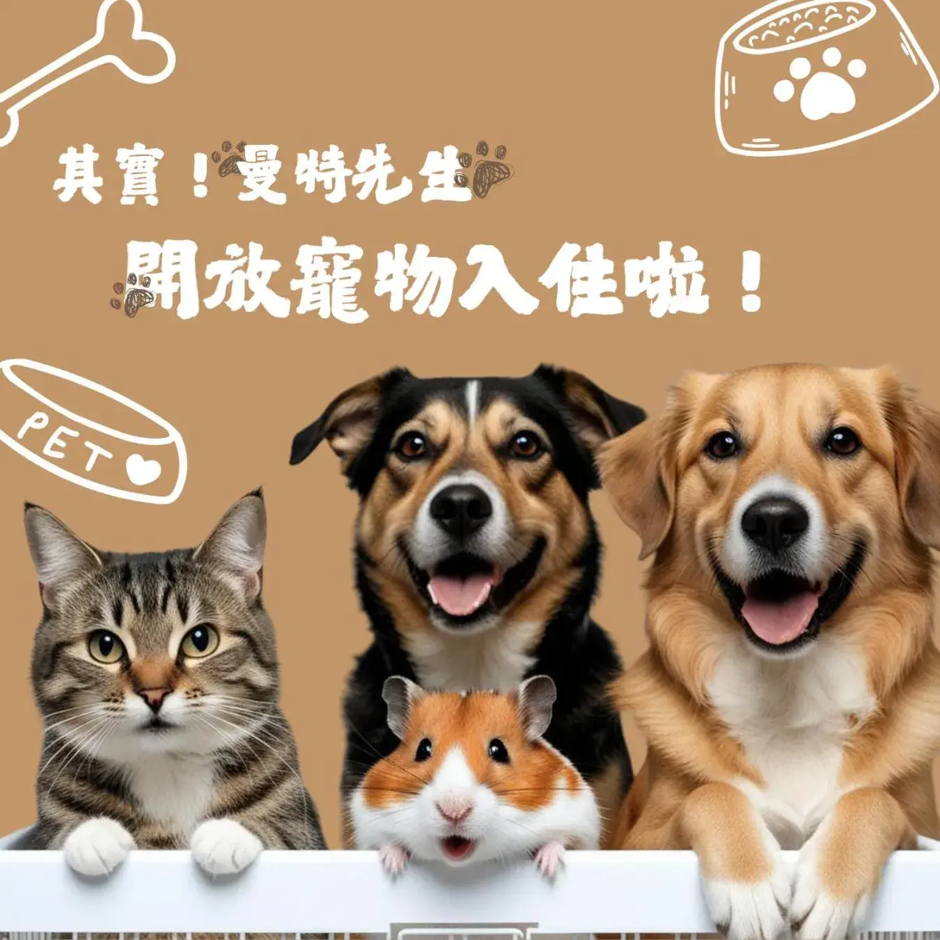 Pet Friendly Double Room in Mr.Mantter Pet Friendly Double Room in Mr.Mantter