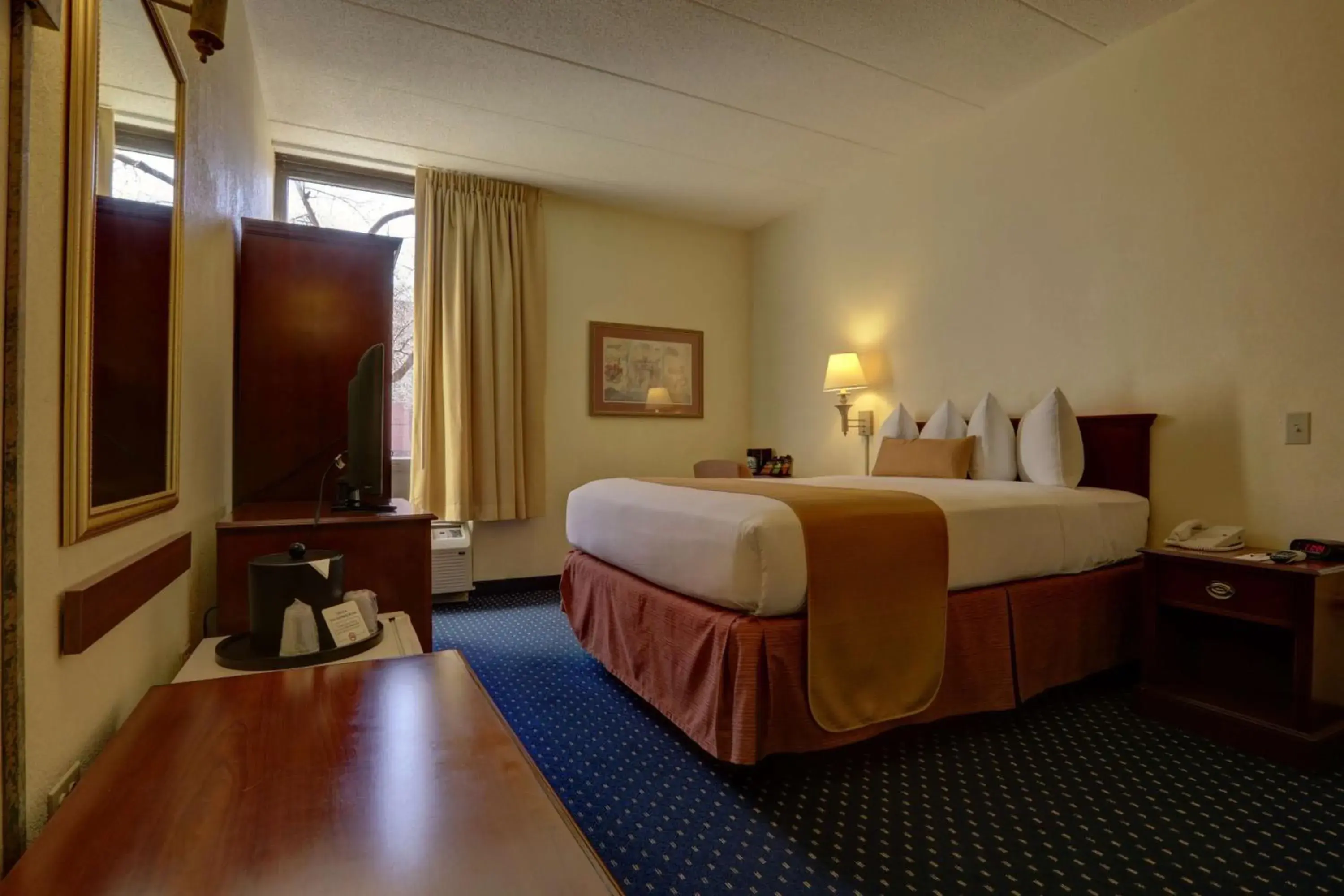 Queen Room with Roll-In Shower - Disability Access/Non-Smoking in SureStay Plus Hotel by Best Western Chicago Lombard Queen Room with Roll-In Shower - Disability Access/Non-Smoking in SureStay Plus Hotel by Best Western Chicago Lombard