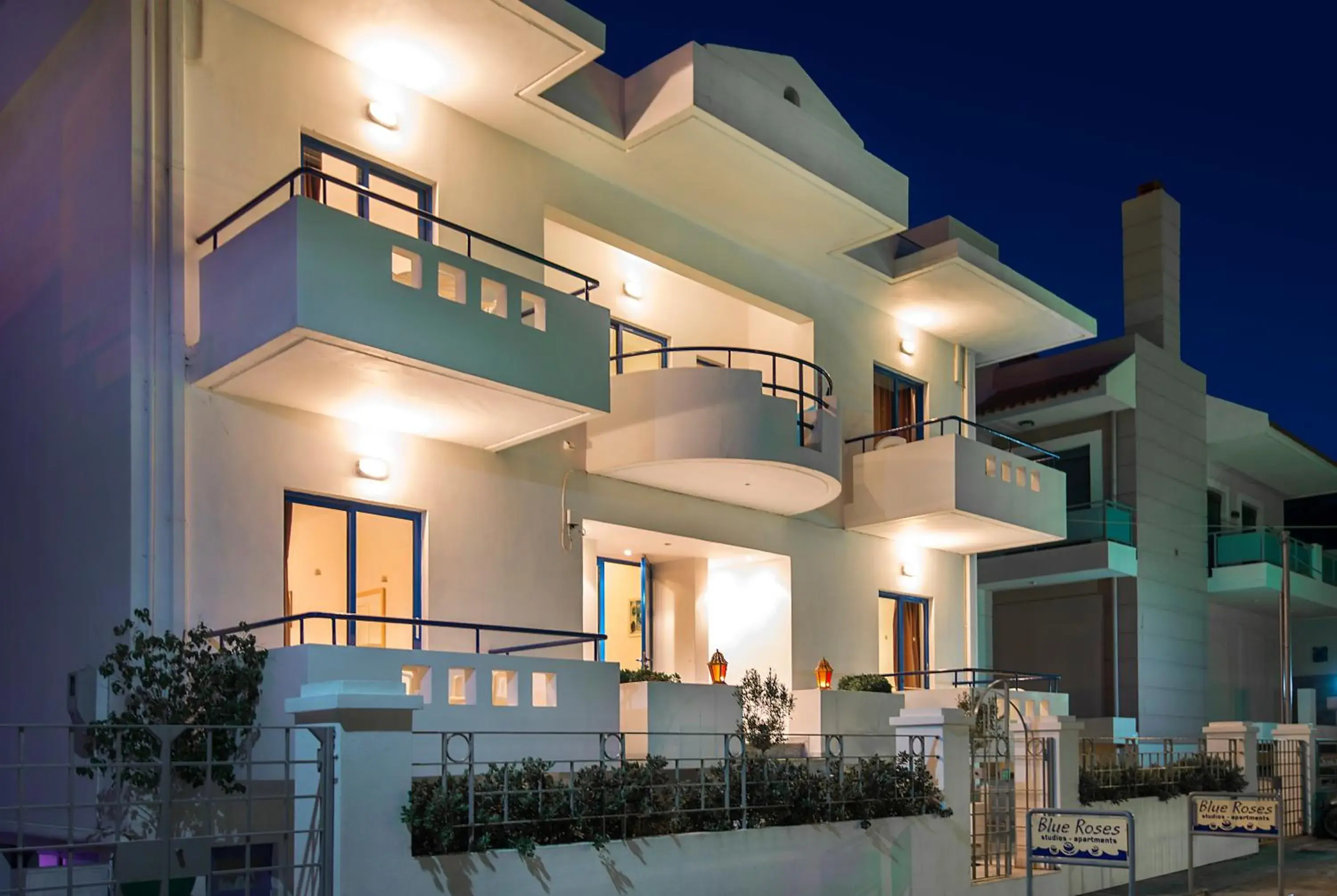 Blue Roses Blue Roses