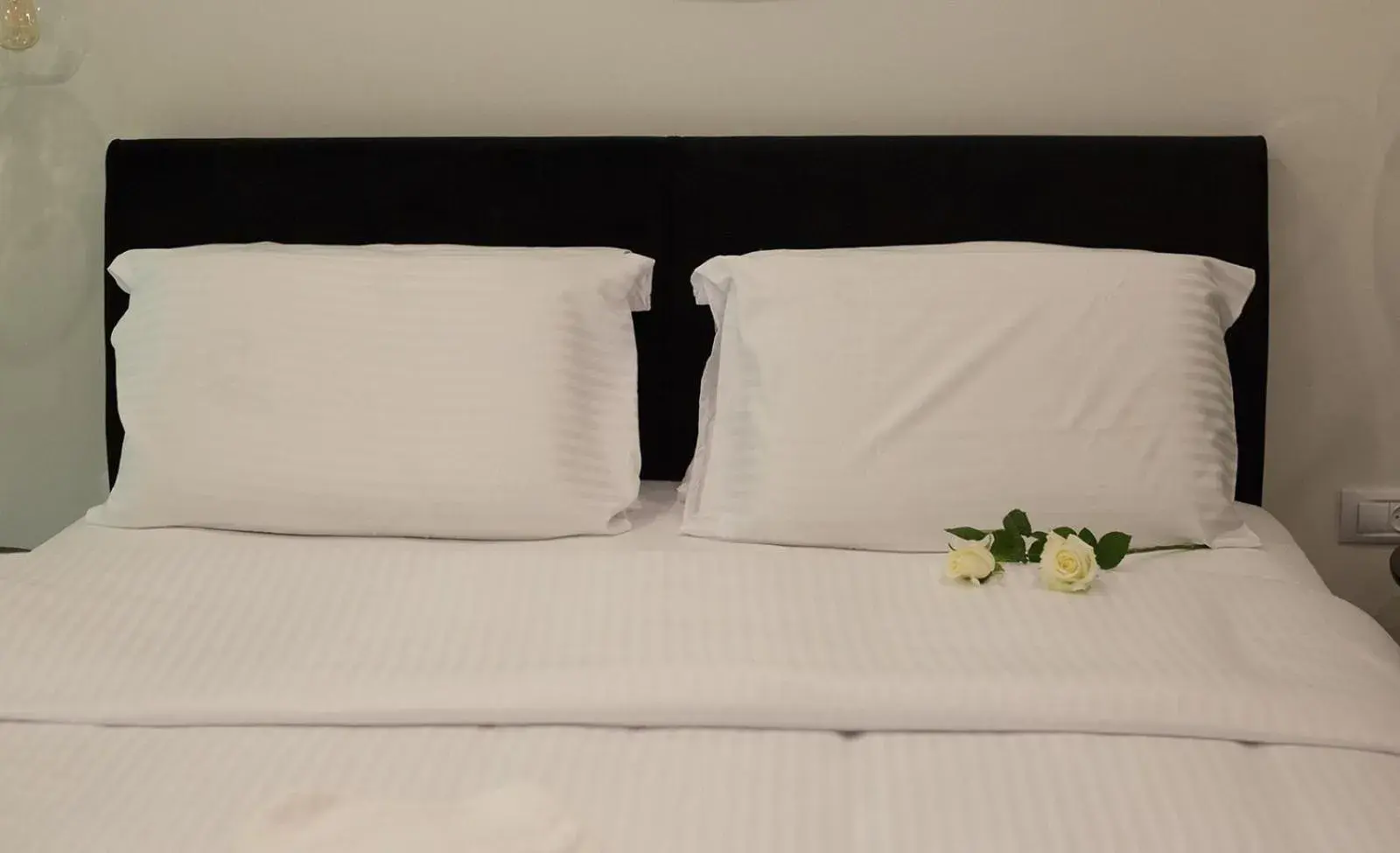 Studio Apartment in Suite Caesar - Neot Golf Studio Apartment in Suite Caesar - Neot Golf