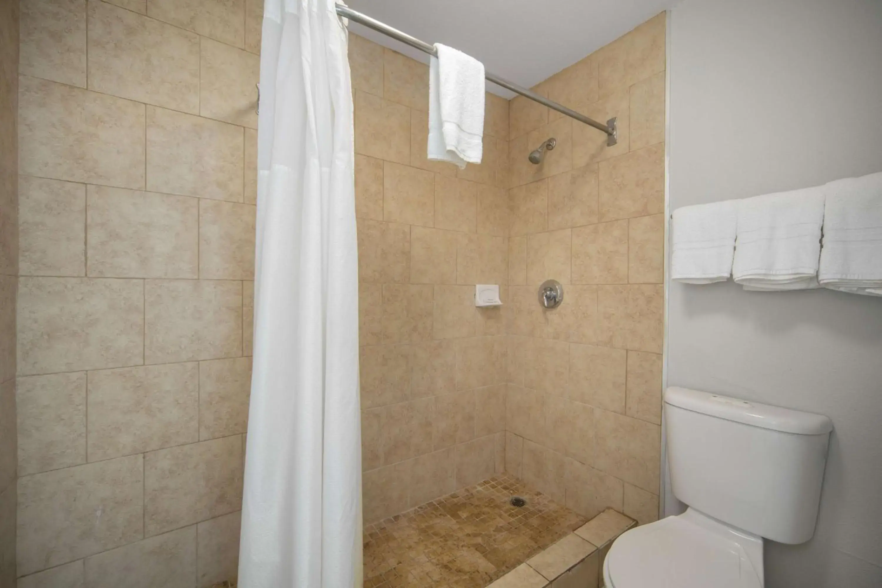 Queen Room with Two Queen Beds - Non-Smoking in Motel 6 San Antonio, TX I-35 North Corridor Queen Room with Two Queen Beds - Non-Smoking in Motel 6 San Antonio, TX I-35 North Corridor