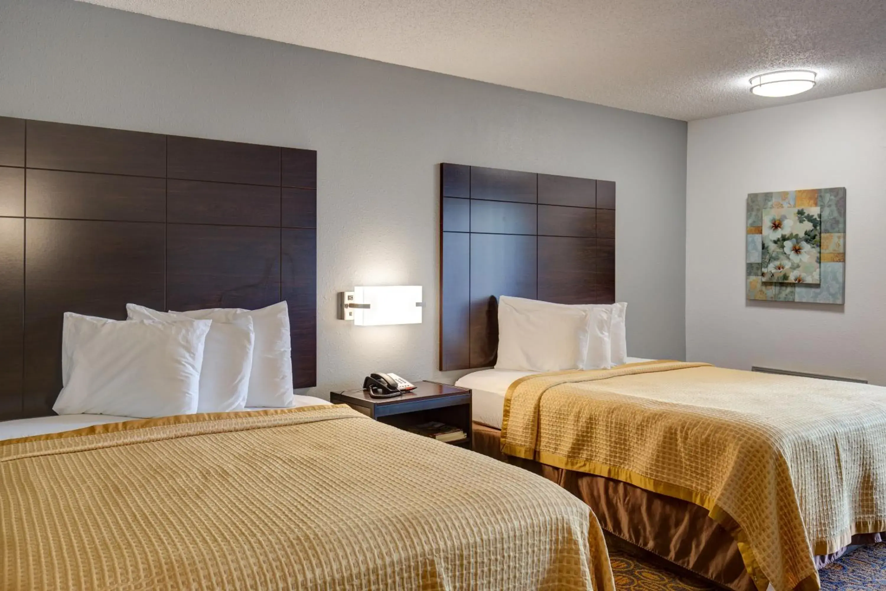 Deluxe Double Room with Balcony in Howard Johnson by Wyndham Branson Theatre District Deluxe Double Room with Balcony in Howard Johnson by Wyndham Branson Theatre District