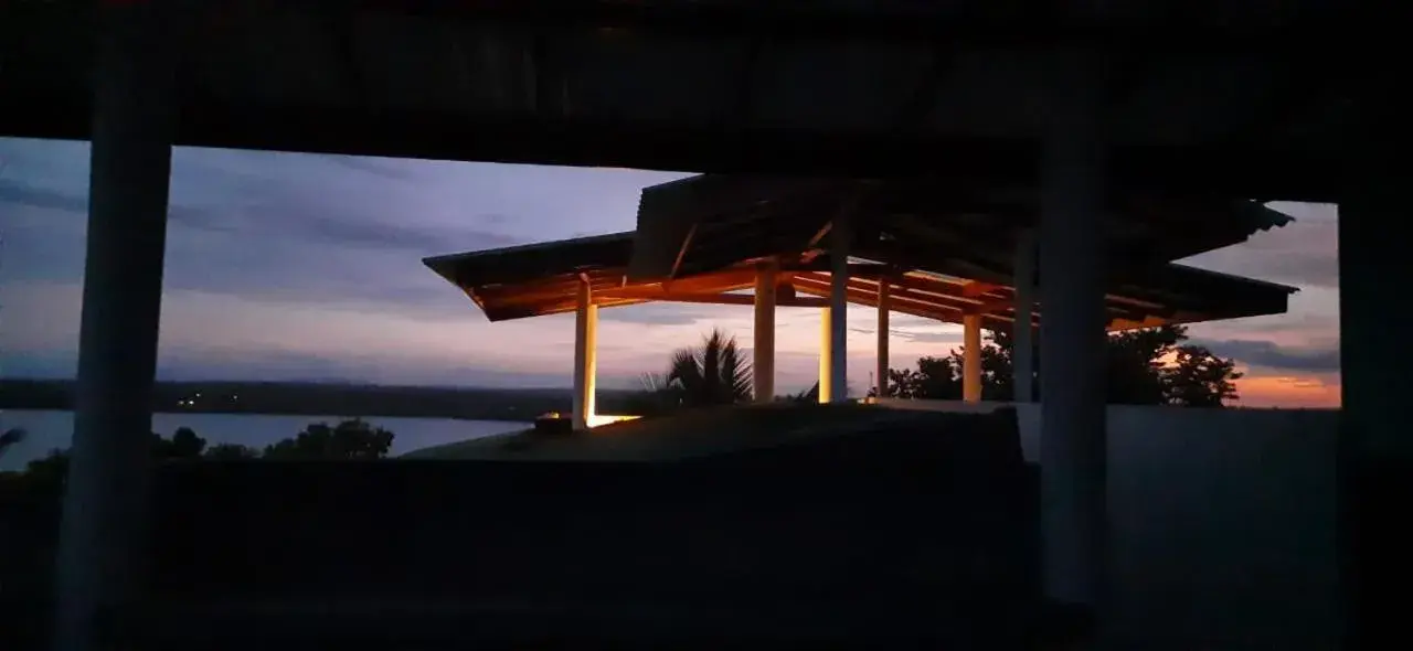 Turtle Paradise Turtle Paradise