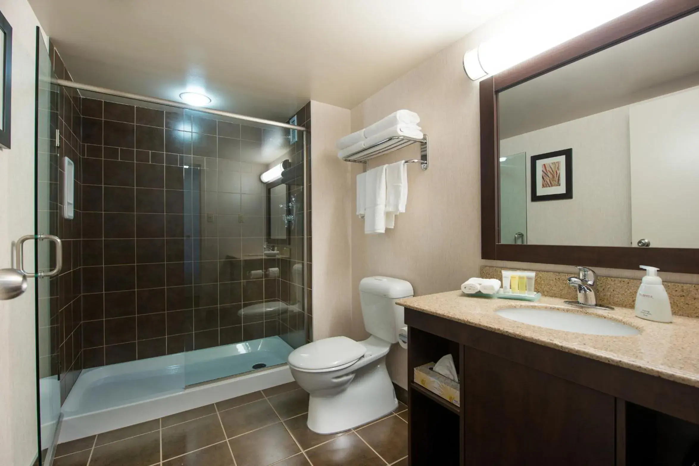 King Room with Sofa Bed in Victoria Inn Hotel & Convention Centre Brandon King Room with Sofa Bed in Victoria Inn Hotel & Convention Centre Brandon