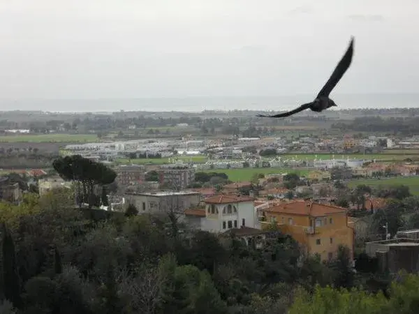 al castello al castello