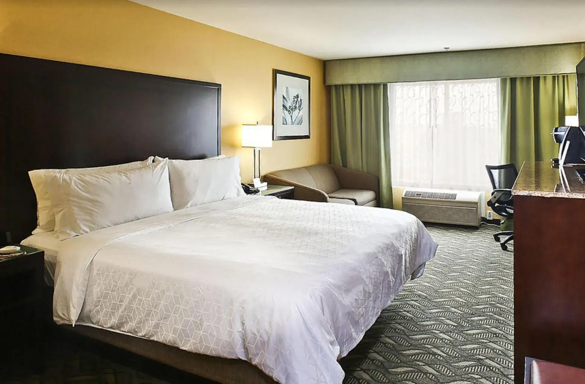 King Room - Disability Access in Holiday Inn Express Hotel & Suites San Jose-Morgan Hill by IHG King Room - Disability Access in Holiday Inn Express Hotel & Suites San Jose-Morgan Hill by IHG