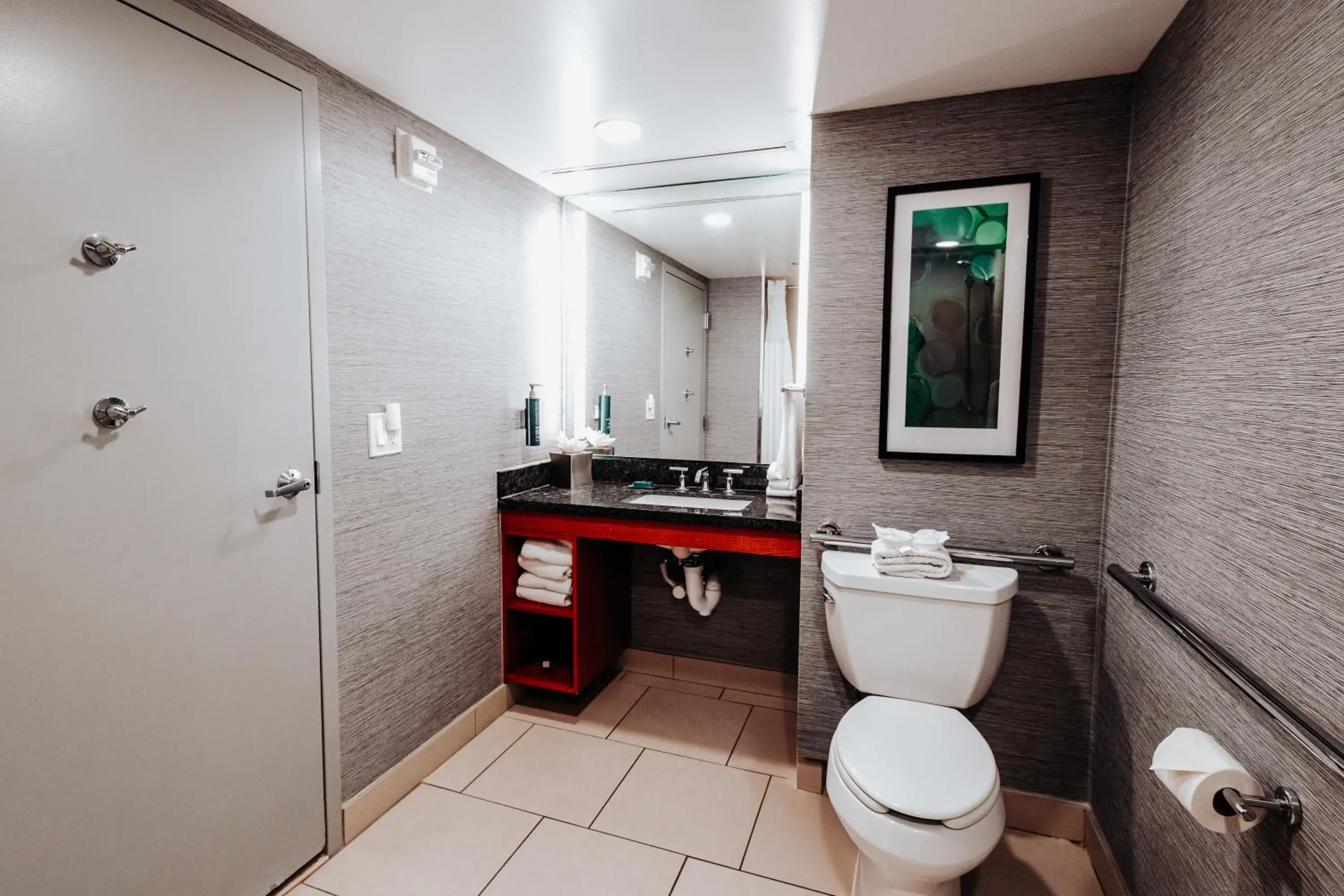 King Room - Disability Access with Roll In Shower in DoubleTree Suites by Hilton Hotel & Conference Center Chicago-Downers Grove King Room - Disability Access with Roll In Shower in DoubleTree Suites by Hilton Hotel & Conference Center Chicago-Downers Grove