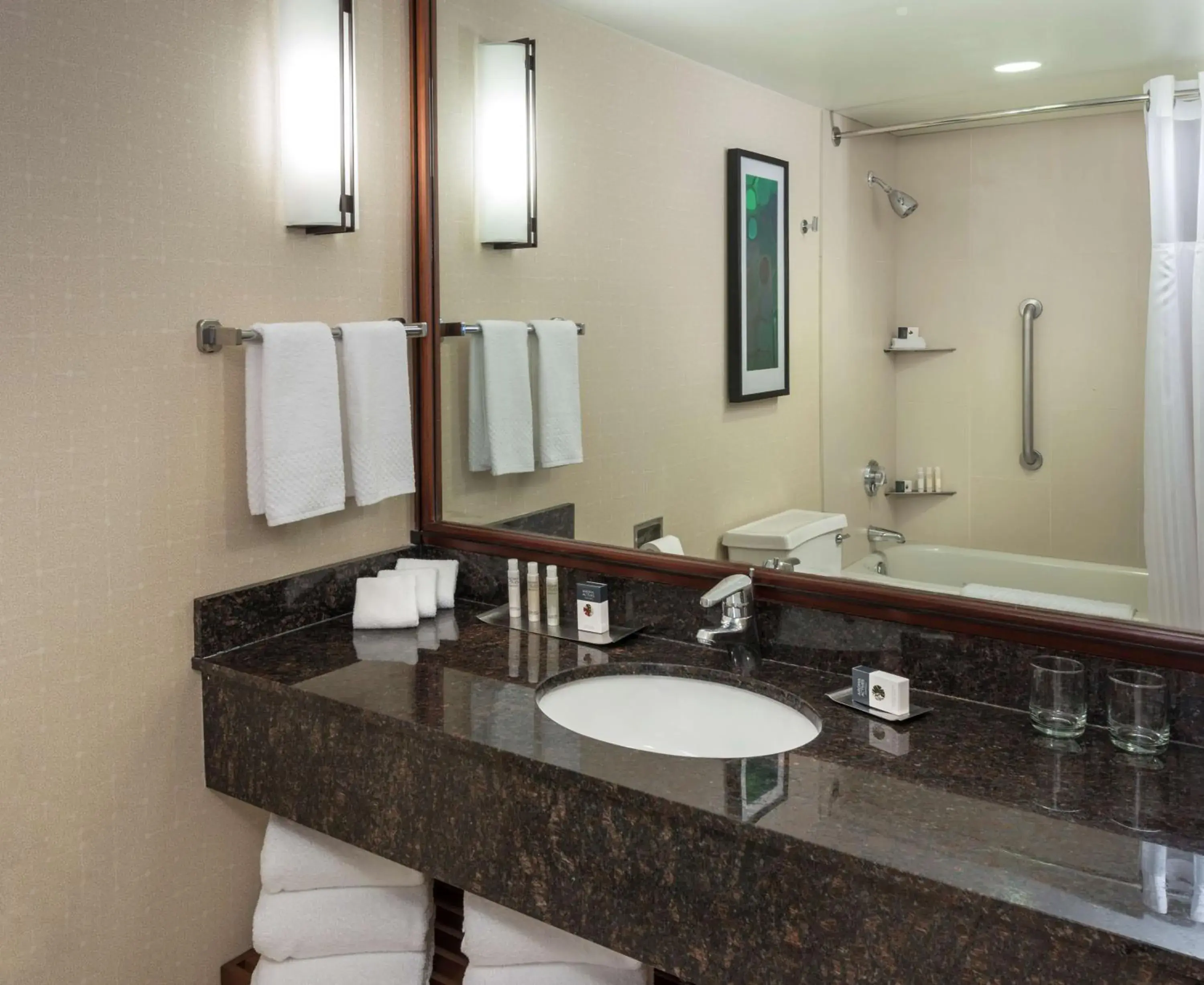 One-Bedroom King Suite - Hearing Access in DoubleTree Suites by Hilton Hotel & Conference Center Chicago-Downers Grove One-Bedroom King Suite - Hearing Access in DoubleTree Suites by Hilton Hotel & Conference Center Chicago-Downers Grove