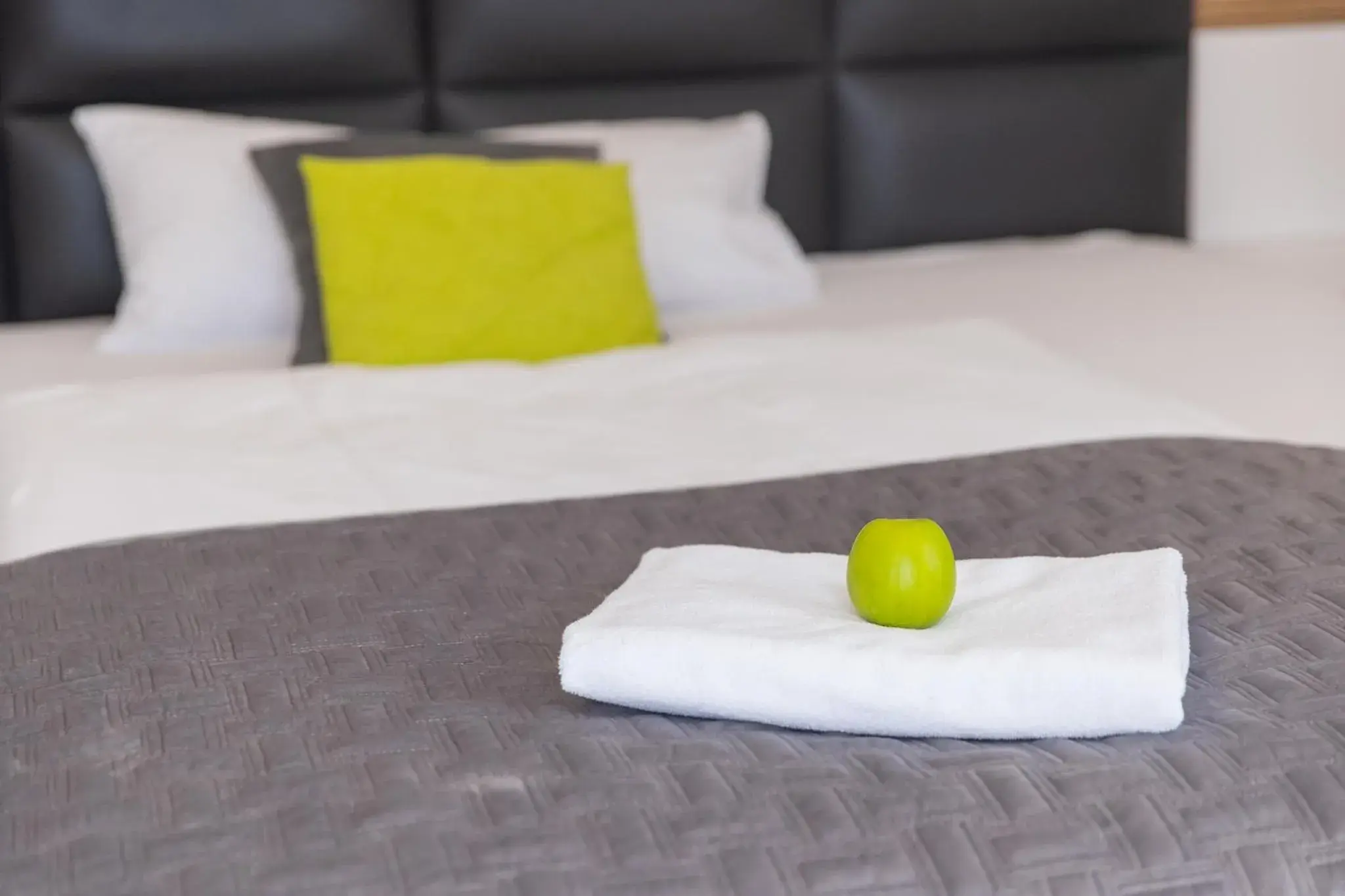 Standard Apartment for 1 Person in Boardinghouse HOME - adults only - Standard Apartment for 1 Person in Boardinghouse HOME - adults only -