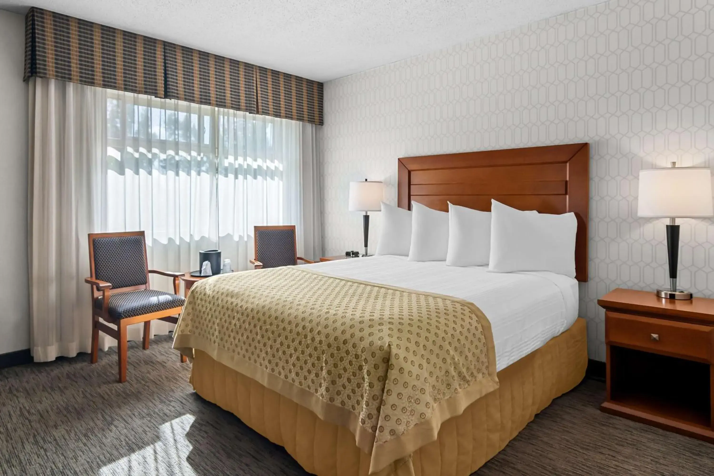 Queen Suite with Two Queen Beds in Best Western PLUS Langley Inn Queen Suite with Two Queen Beds in Best Western PLUS Langley Inn