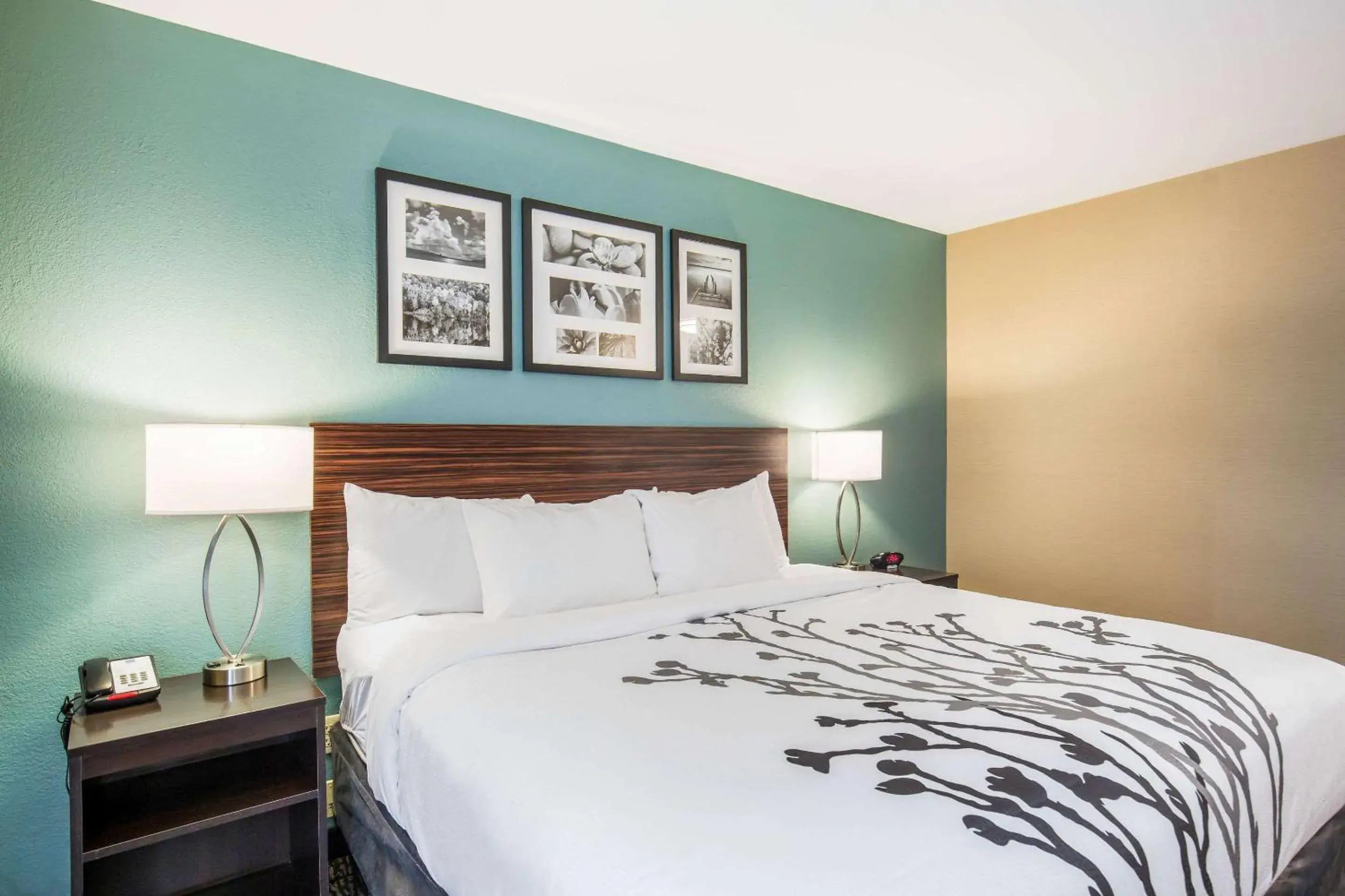 King Room - Disability Access/Non-Smoking in Sleep Inn & Suites Dunmore King Room - Disability Access/Non-Smoking in Sleep Inn & Suites Dunmore