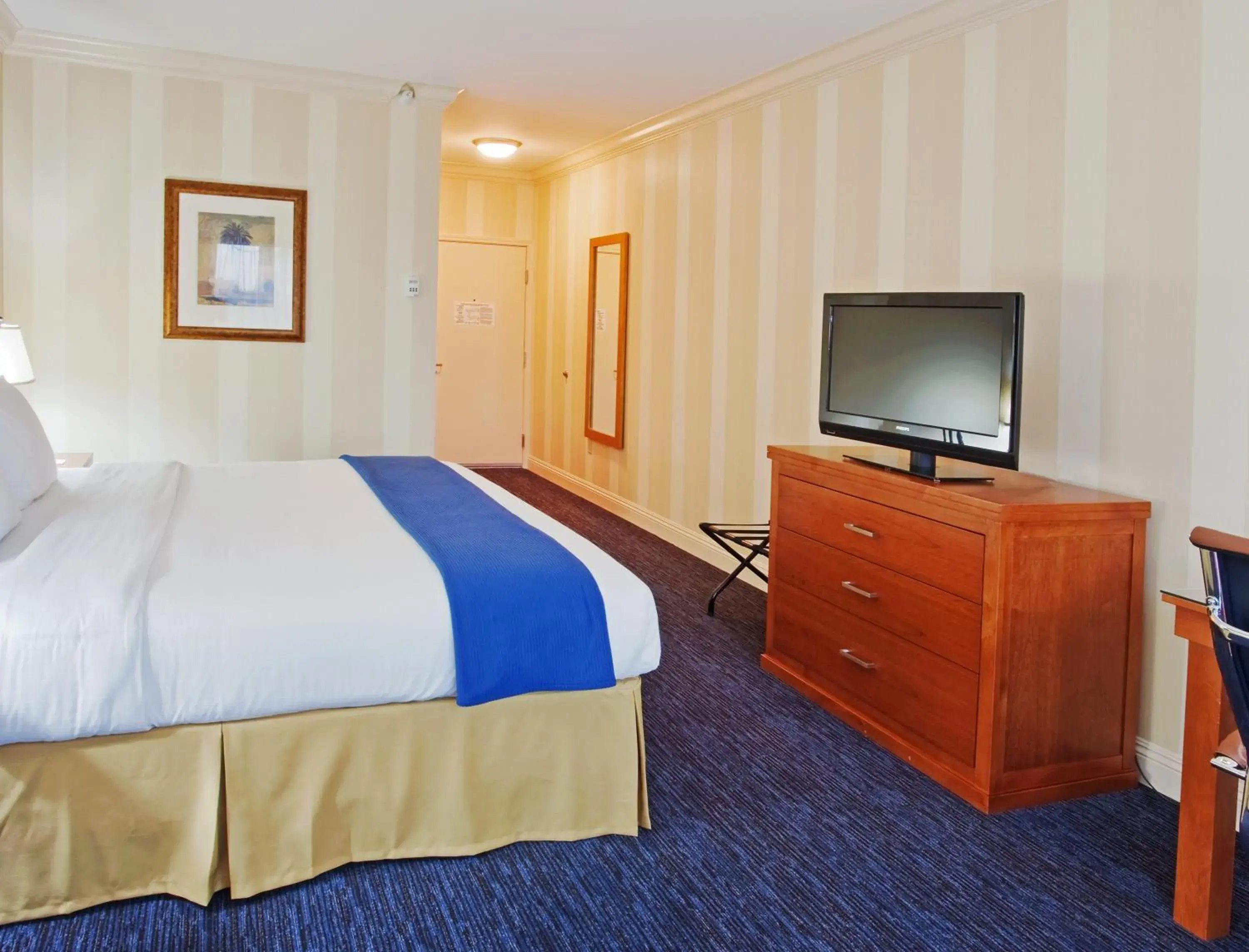 Standard King Room - single occupancy in Holiday Inn Express Hotel & Suites Santa Cruz by IHG Standard King Room - single occupancy in Holiday Inn Express Hotel & Suites Santa Cruz by IHG