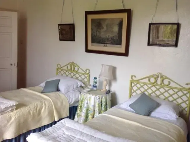 Twin Room with Garden View in Ballydugan Country House Twin Room with Garden View in Ballydugan Country House