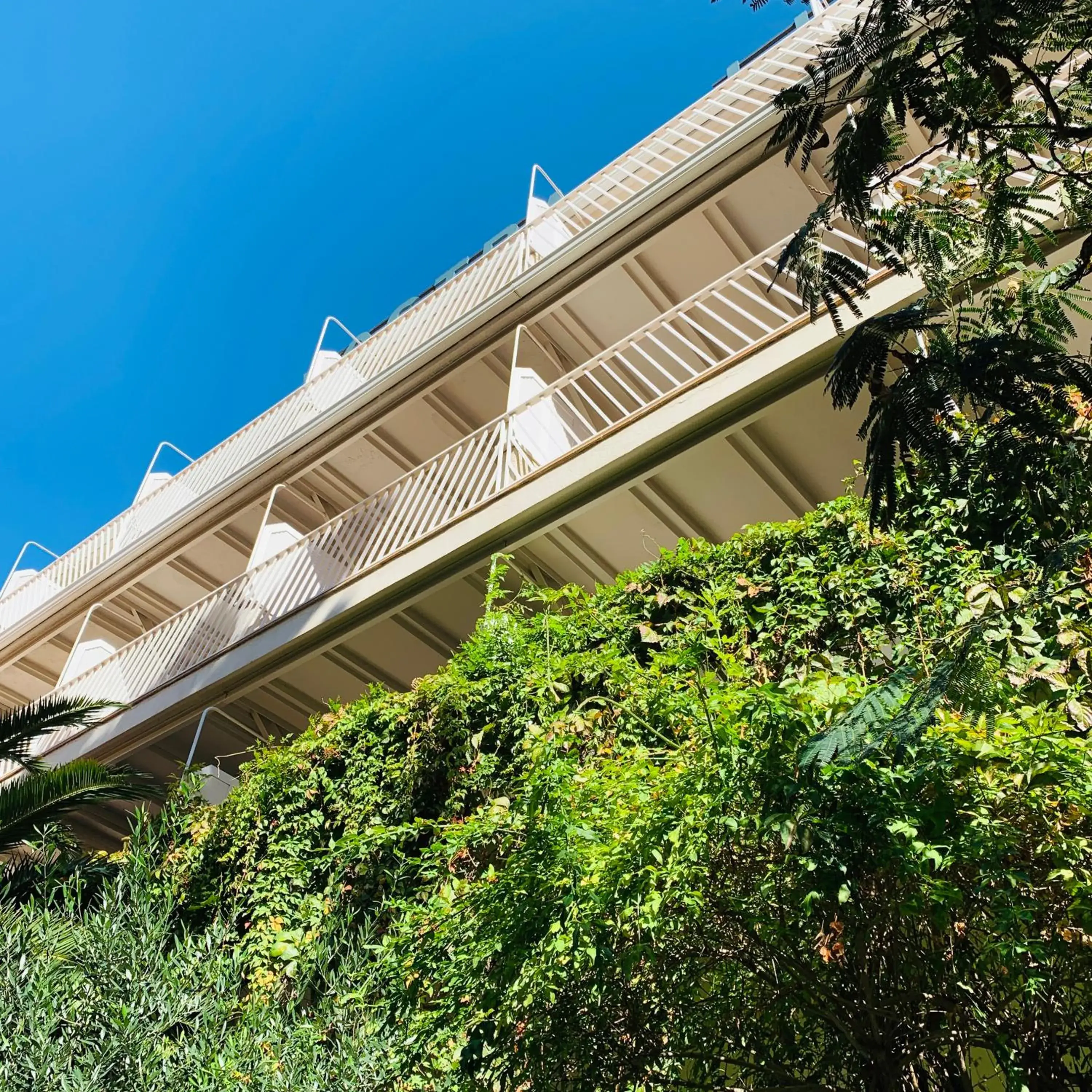 Double or Twin Room with Garden View - single occupancy in Hotel Vostra Llar Double or Twin Room with Garden View - single occupancy in Hotel Vostra Llar