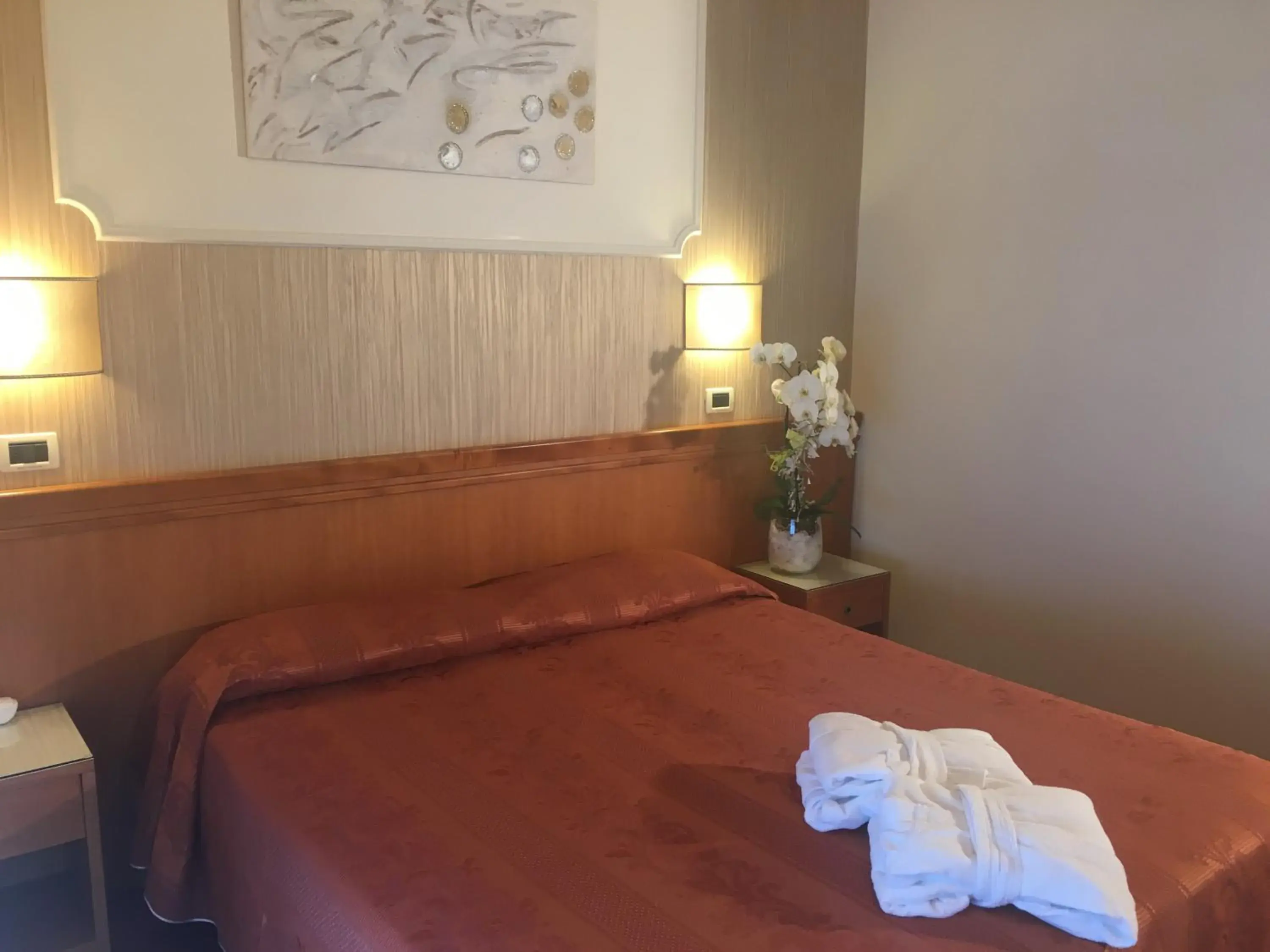 Standard Double Room in Hotel Alexander Standard Double Room in Hotel Alexander