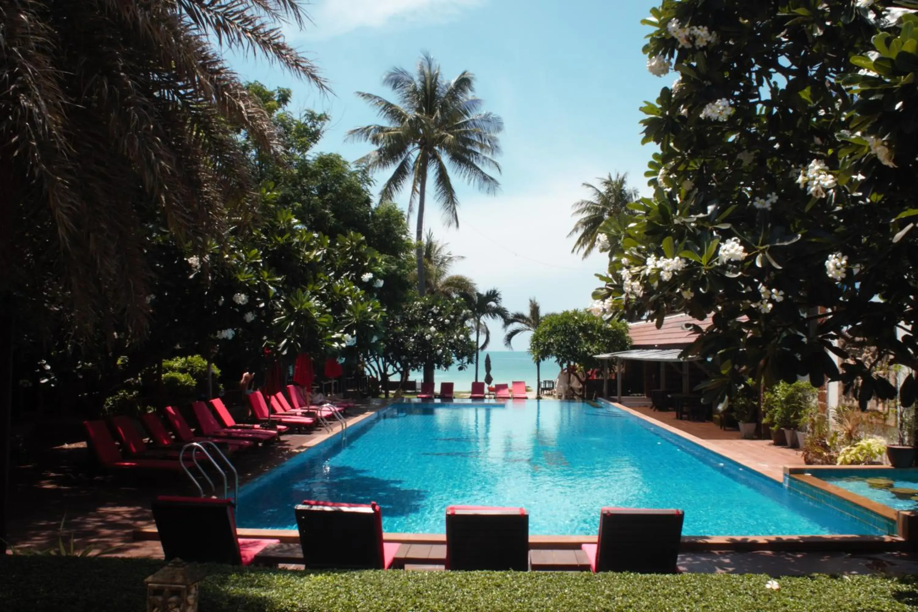 Tommy Resort Tommy Resort