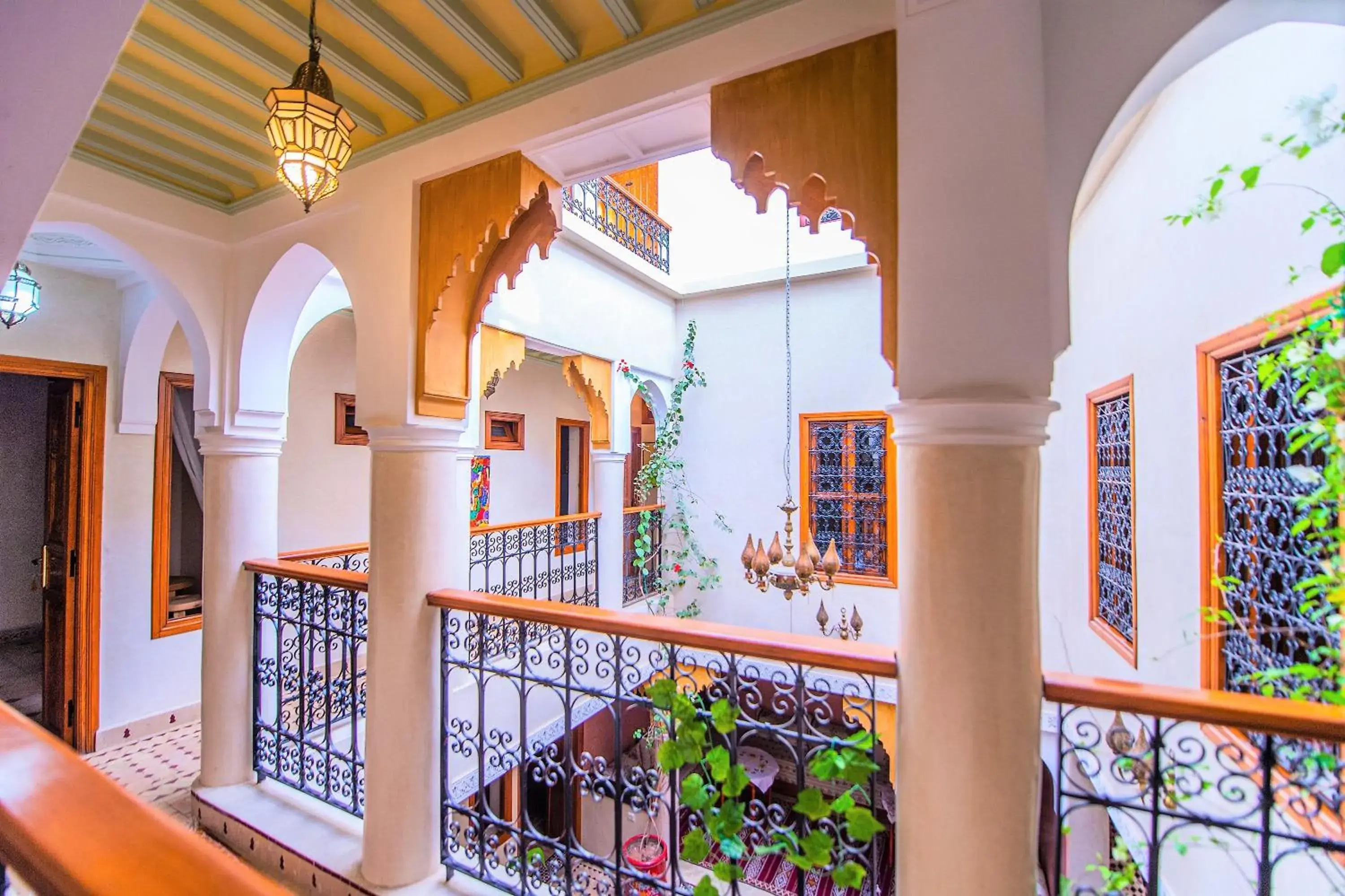 Riad Zahri Riad Zahri