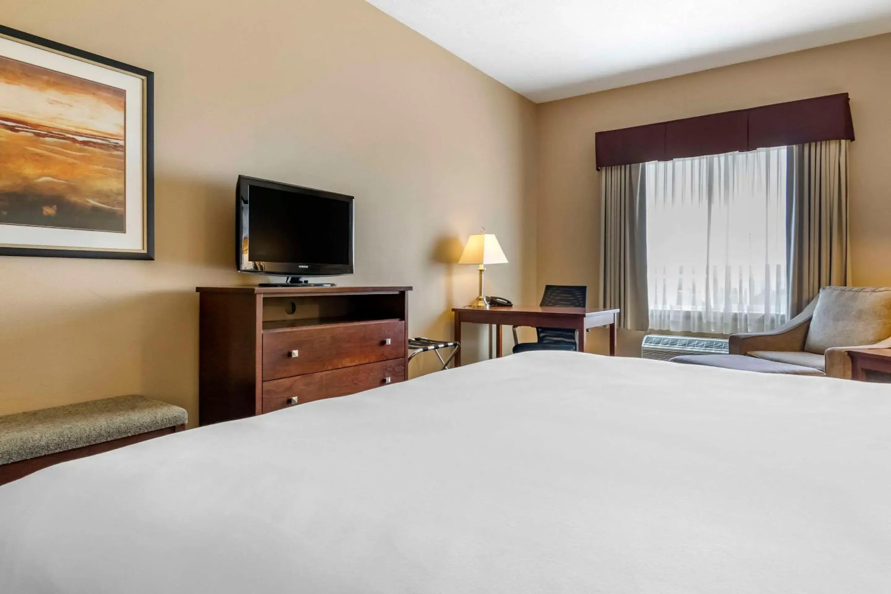 Standard King Room - Non-Smoking in Quality Inn & Suites Standard King Room - Non-Smoking in Quality Inn & Suites