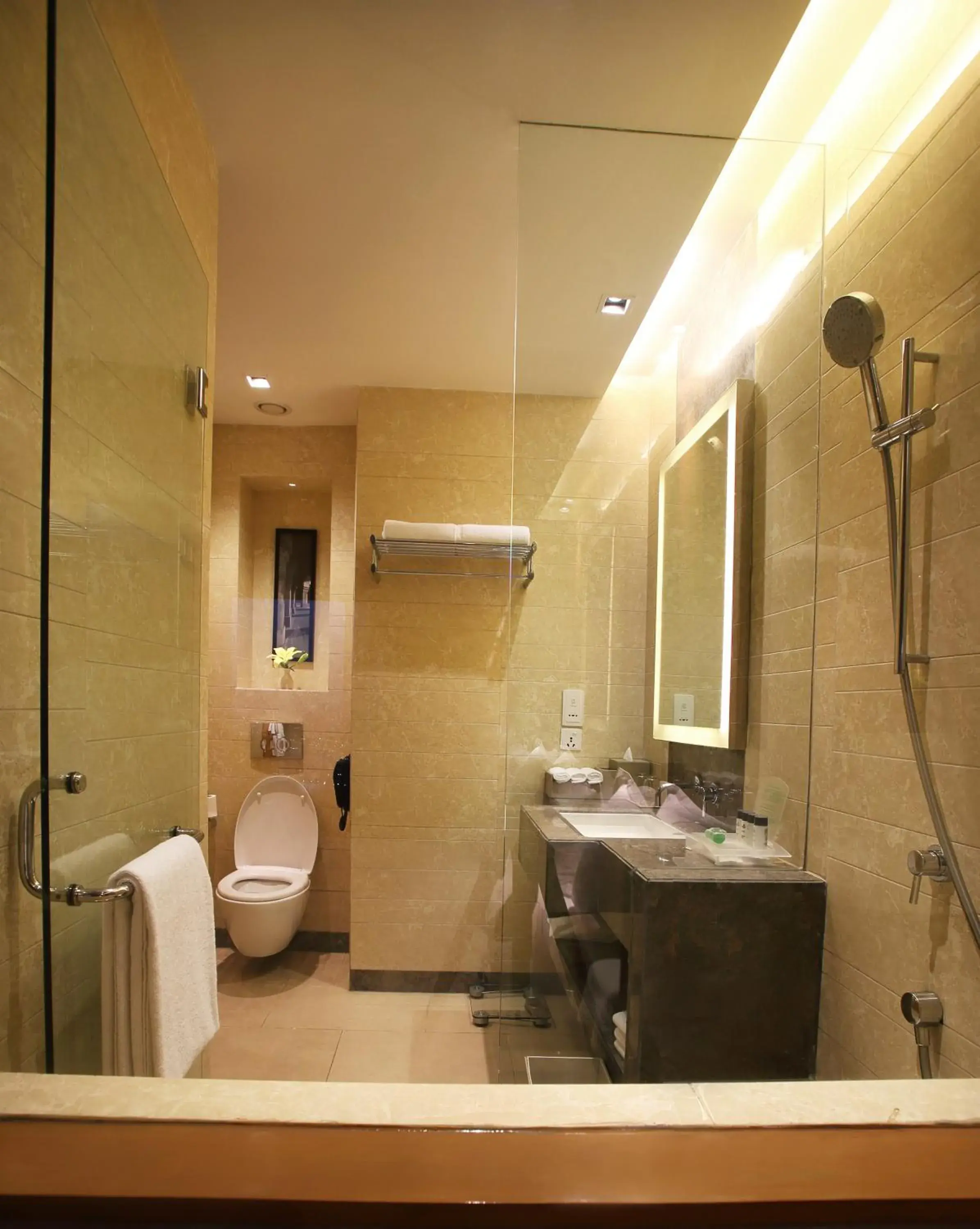 Twin Room Standard Smoking - single occupancy in Holiday Inn New Delhi Mayur Vihar Noida by IHG Twin Room Standard Smoking - single occupancy in Holiday Inn New Delhi Mayur Vihar Noida by IHG