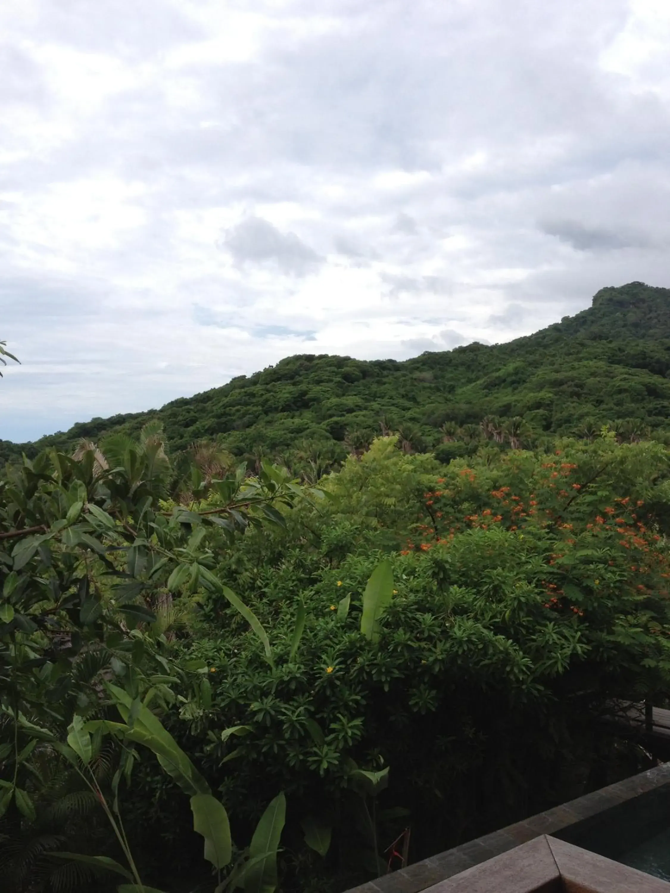 Standard Suite with Jungle View in Imanta Resorts Punta de Mita Standard Suite with Jungle View in Imanta Resorts Punta de Mita
