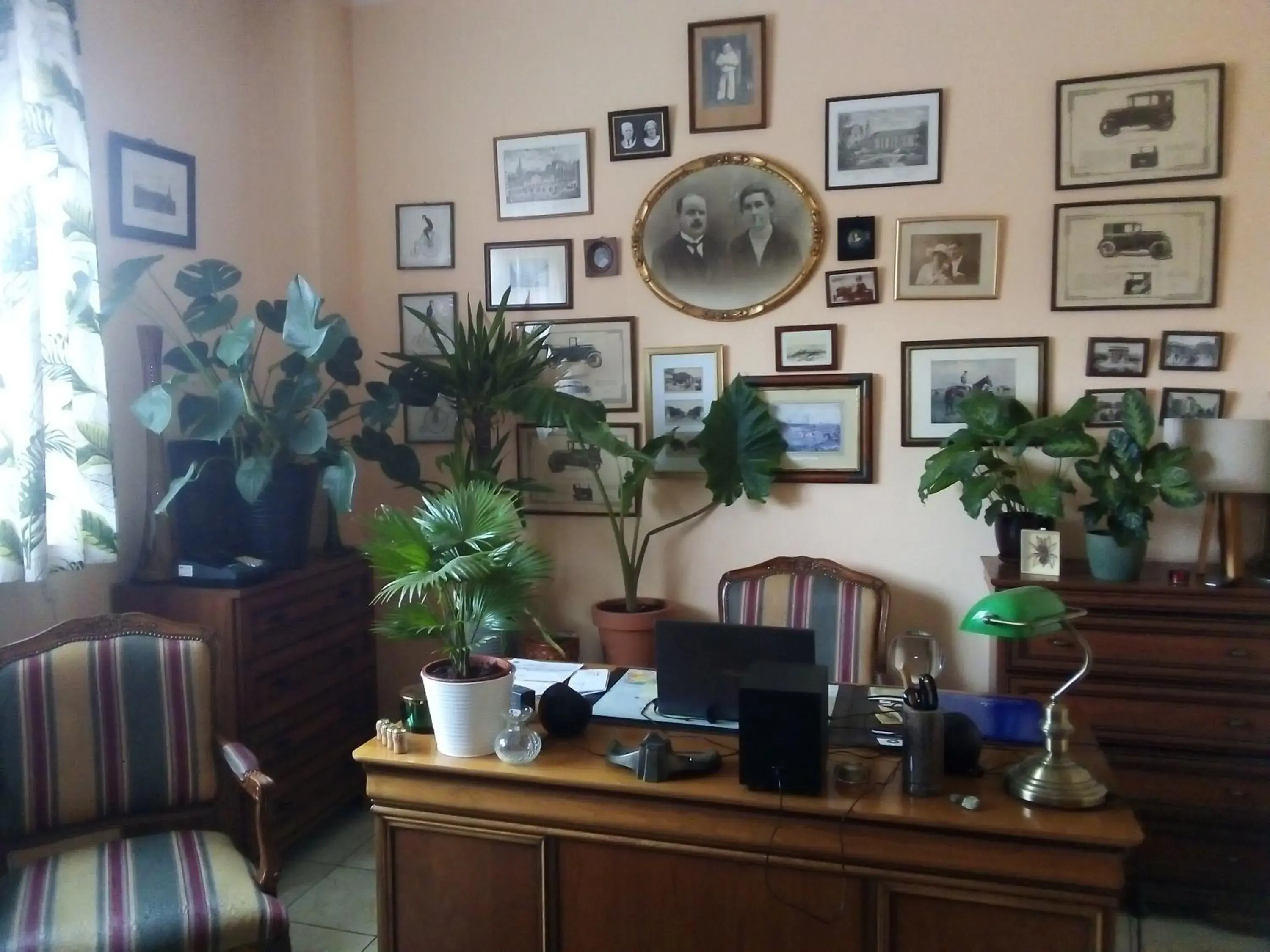 Villa Minerva Villa Minerva