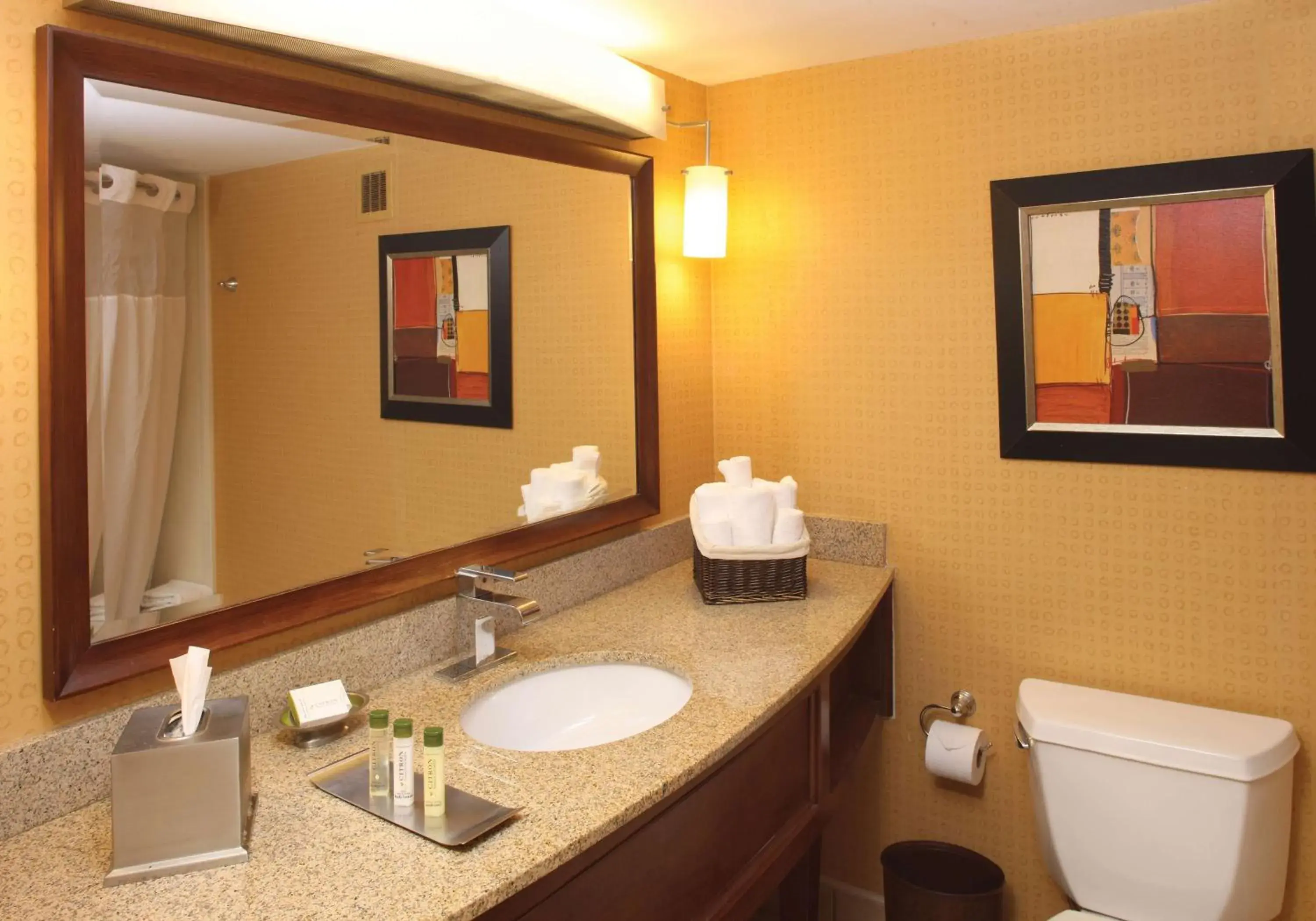 King Room in DoubleTree by Hilton Hotel Oak Ridge - Knoxville King Room in DoubleTree by Hilton Hotel Oak Ridge - Knoxville