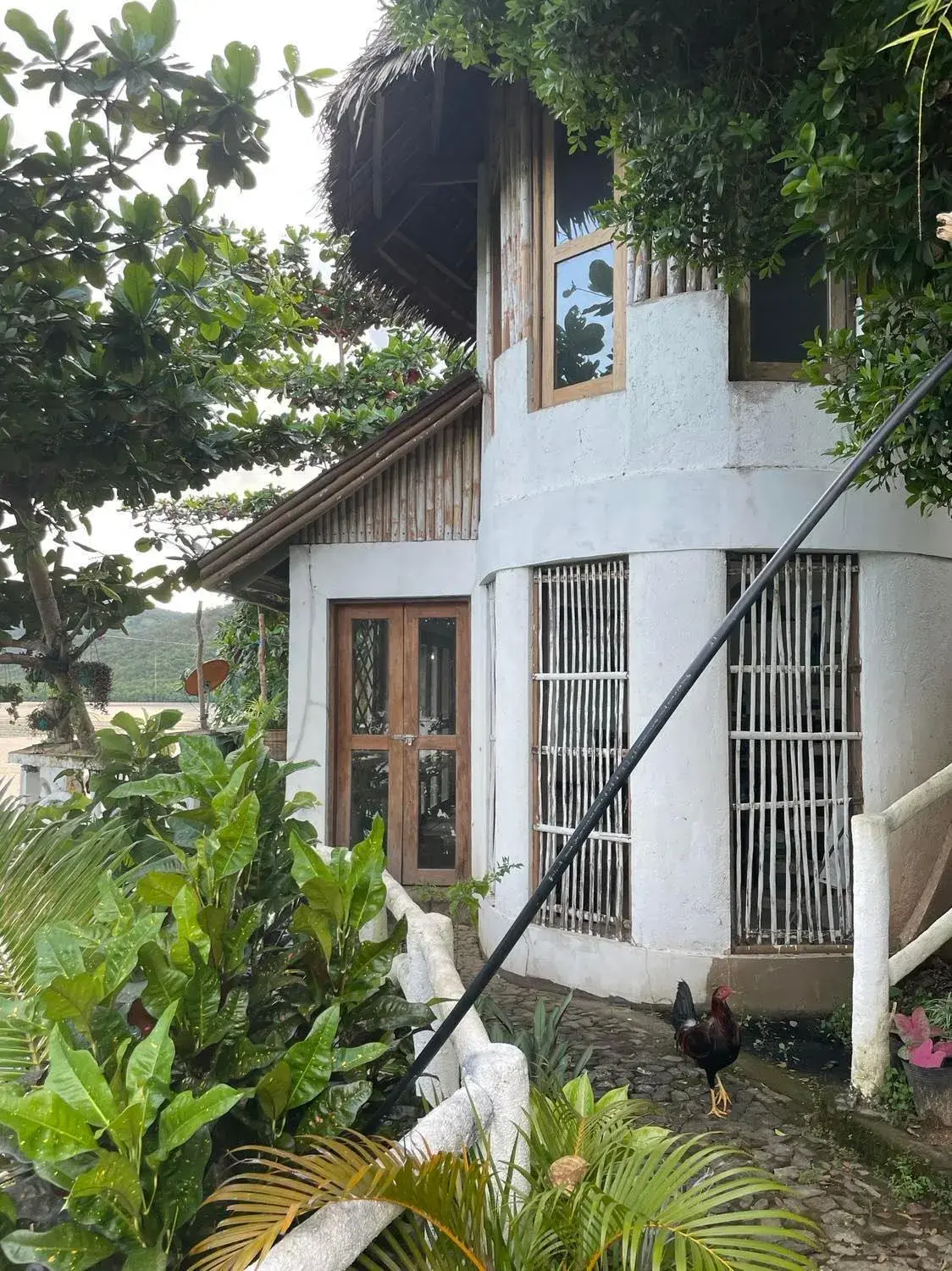 Borac Bay Bungalows Hotel and Resort Borac Bay Bungalows Hotel and Resort