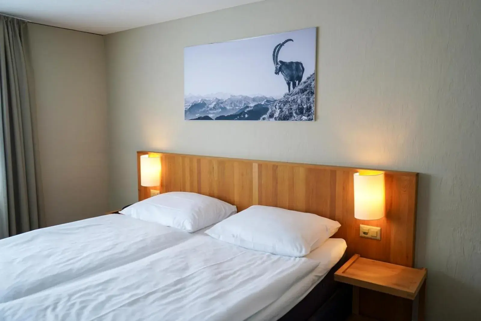 Double Room - single occupancy in Hotel Bellevue Kriens Double Room - single occupancy in Hotel Bellevue Kriens