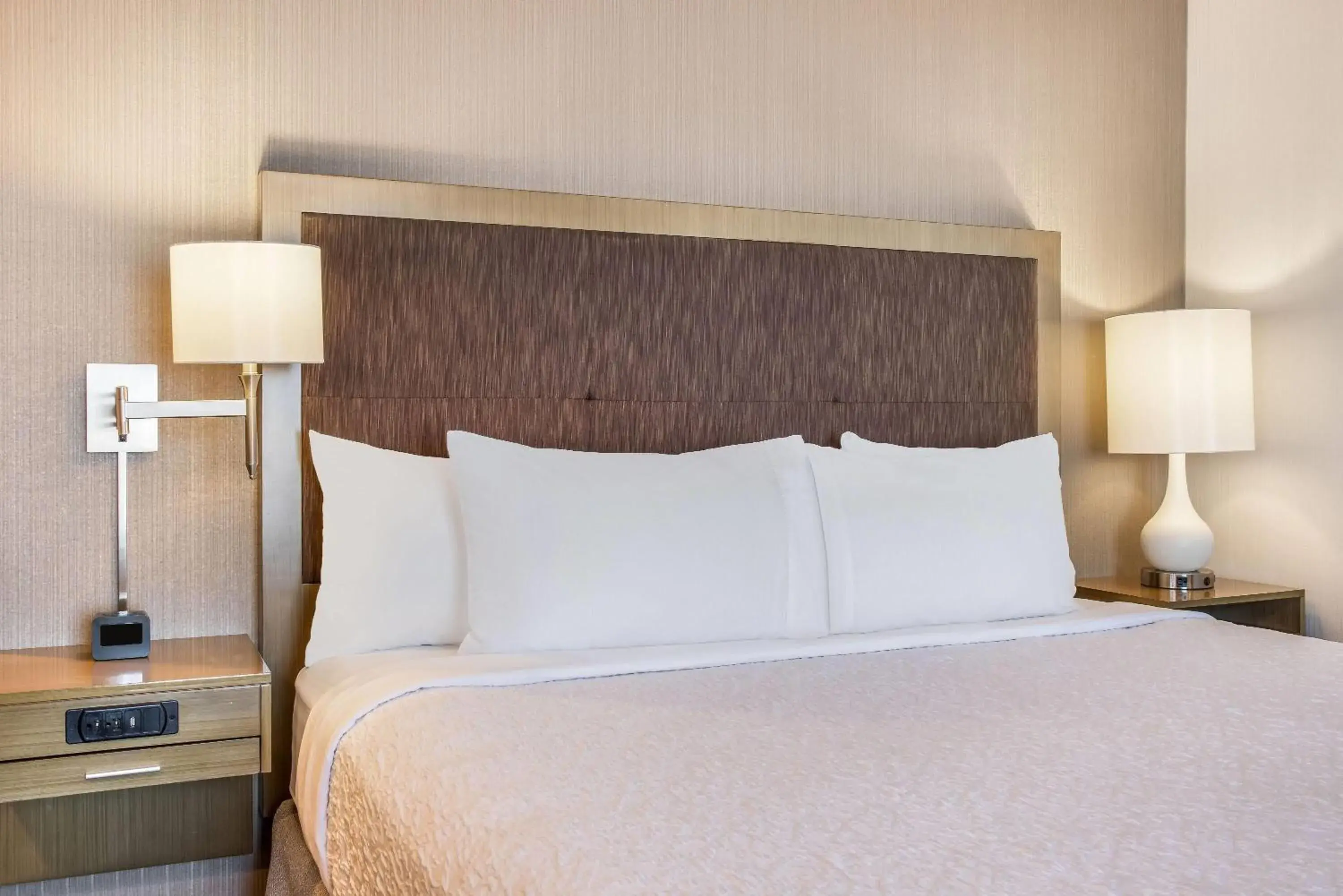 One-Bedroom Executive King Suite - Non-Smoking in Ramada by Wyndham St Paul AB One-Bedroom Executive King Suite - Non-Smoking in Ramada by Wyndham St Paul AB