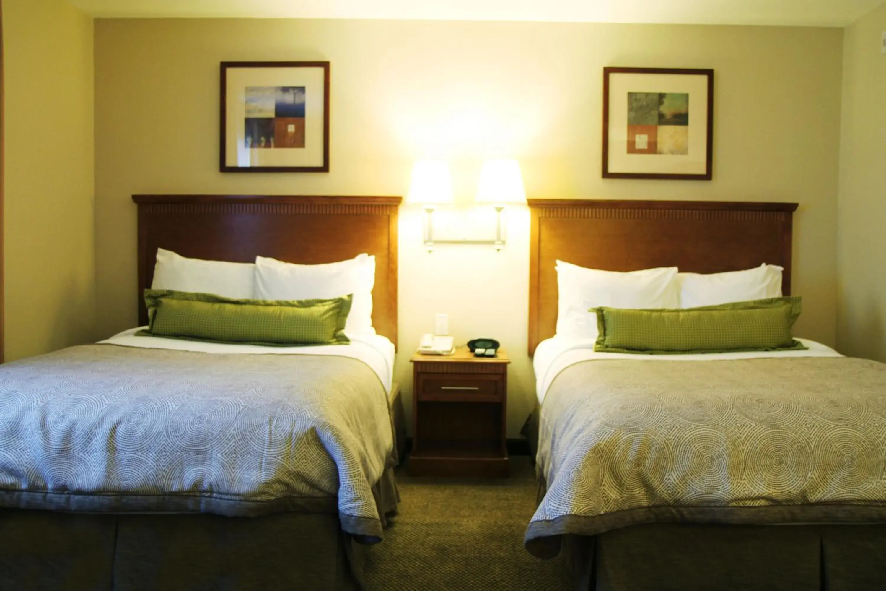 Studio Suite with Two Double Beds in Candlewood Suites Lake Charles-Sulphur by IHG Studio Suite with Two Double Beds in Candlewood Suites Lake Charles-Sulphur by IHG