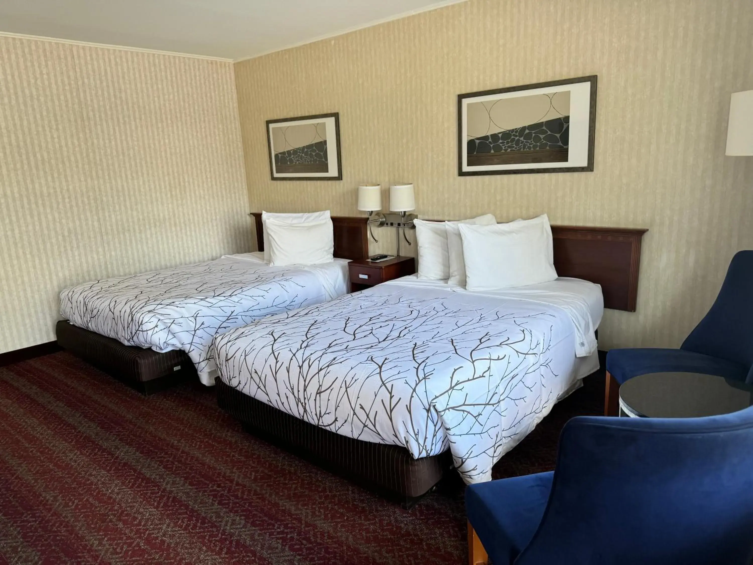 Double Room with Two Double Beds in The Black Mountain Inn Double Room with Two Double Beds in The Black Mountain Inn