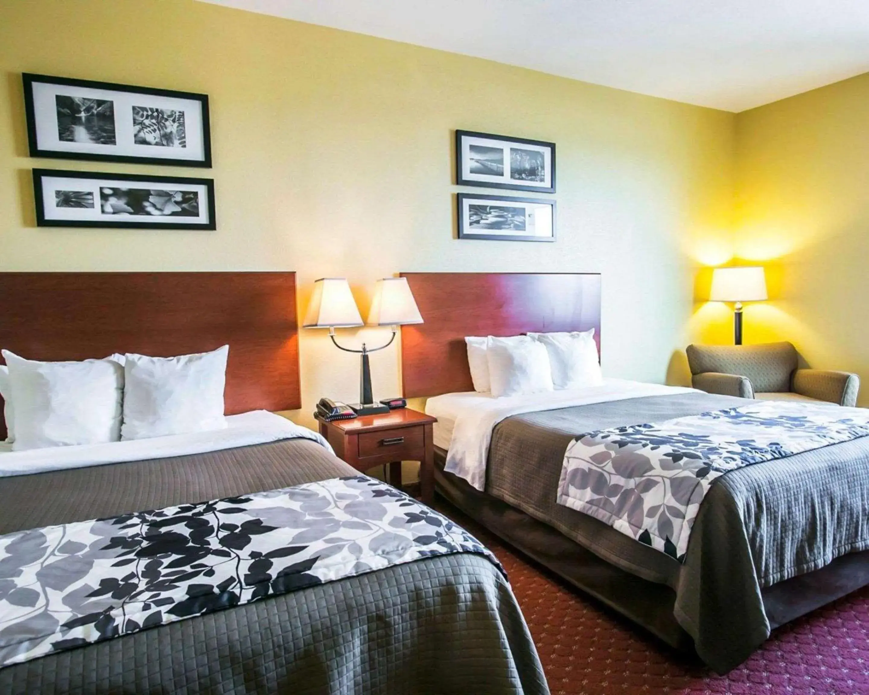 Queen Room with Two Queen Beds - Accessible/Non-Smoking in Sleep Inn & Suites New Braunfels Queen Room with Two Queen Beds - Accessible/Non-Smoking in Sleep Inn & Suites New Braunfels