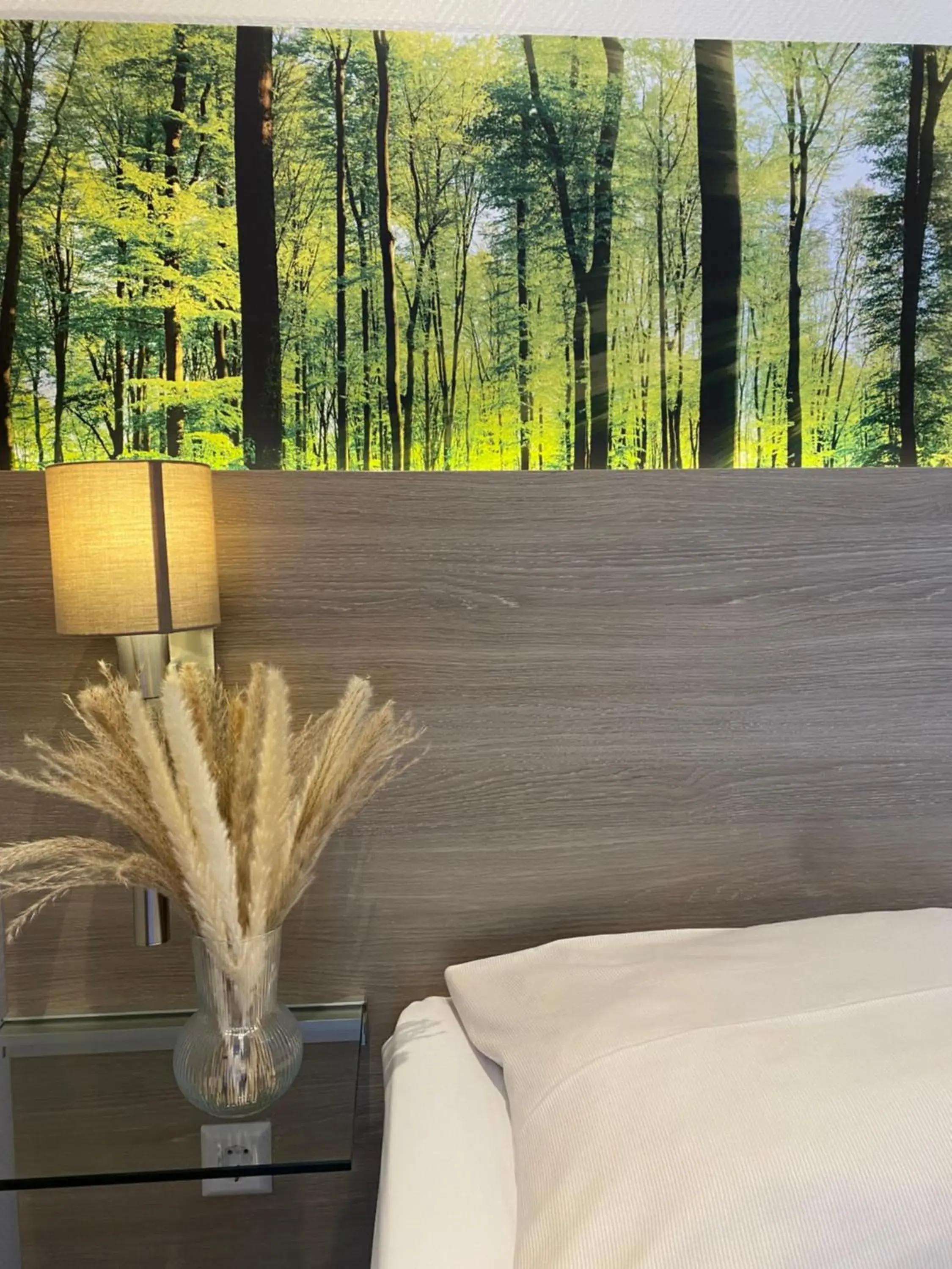 Single Room in Hotel Scheid Single Room in Hotel Scheid