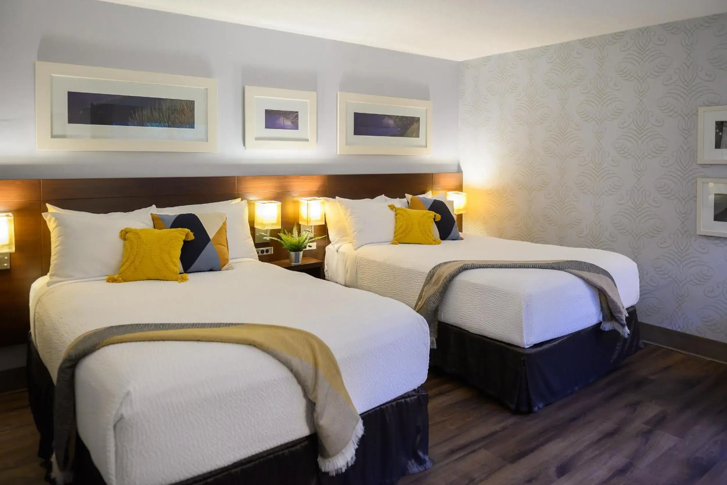 Double Room with Two Double Beds in Rodd Moncton Double Room with Two Double Beds in Rodd Moncton