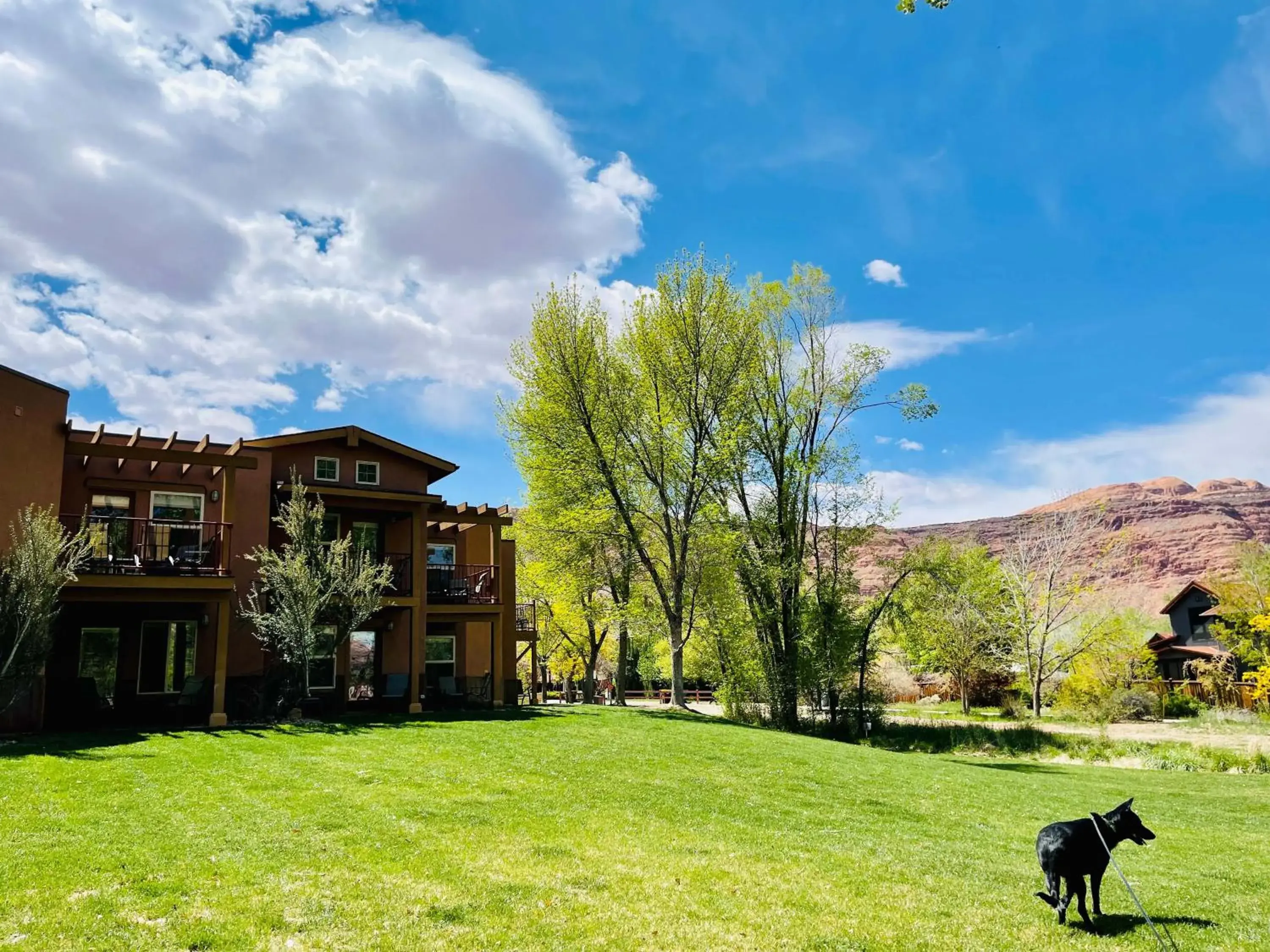 King Room in The Gonzo Inn King Room in The Gonzo Inn