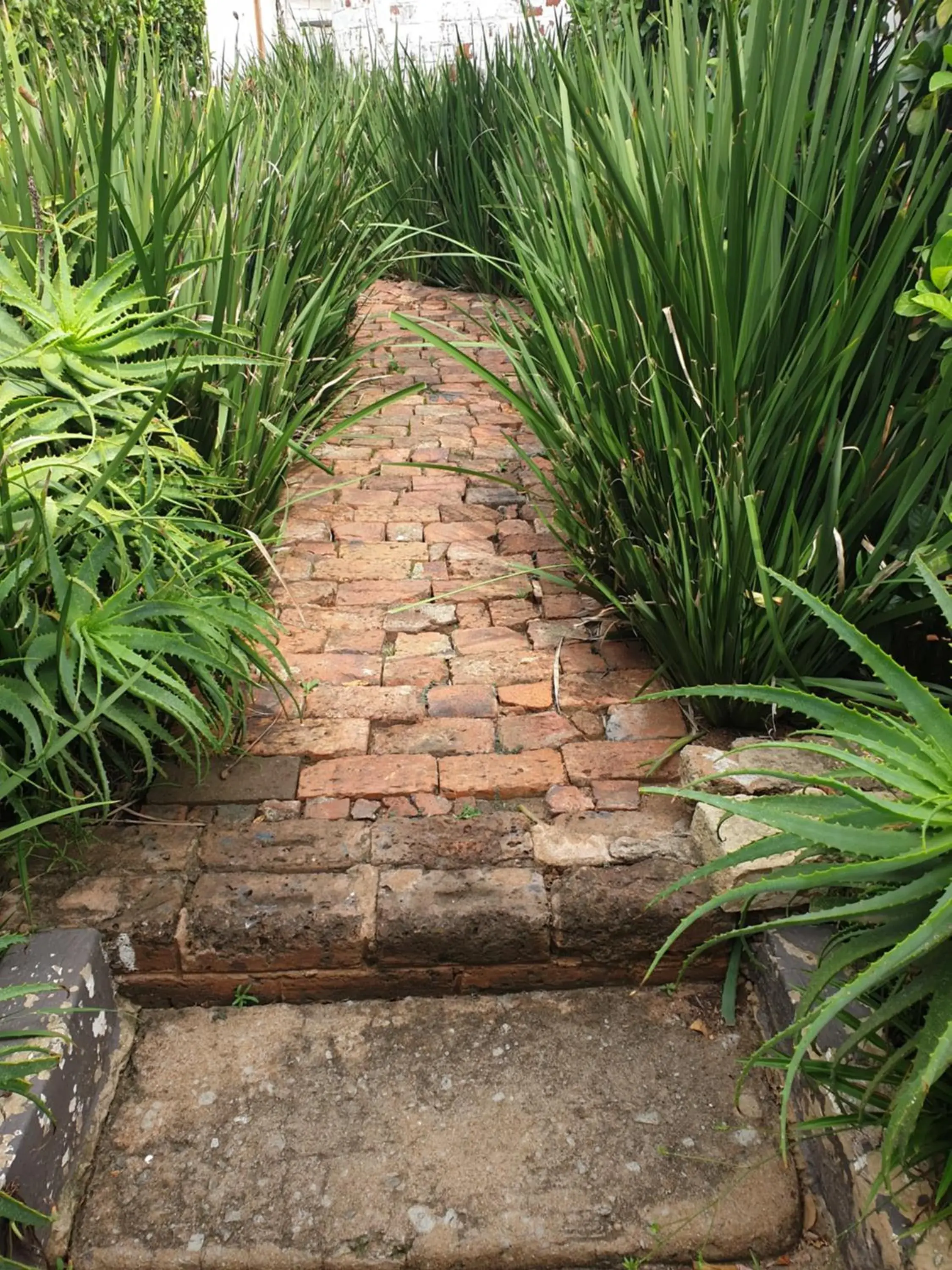 Two-Bedroom Apartment - single occupancy in Motel Mi Pi Chi Two-Bedroom Apartment - single occupancy in Motel Mi Pi Chi