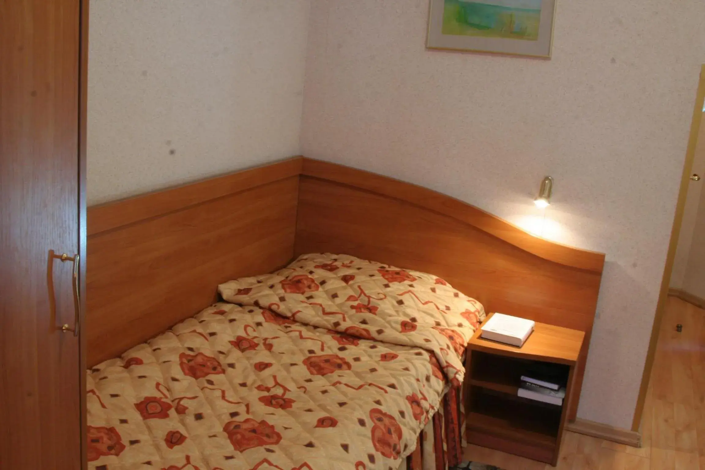 Single Room in Hotel Kama Park Single Room in Hotel Kama Park