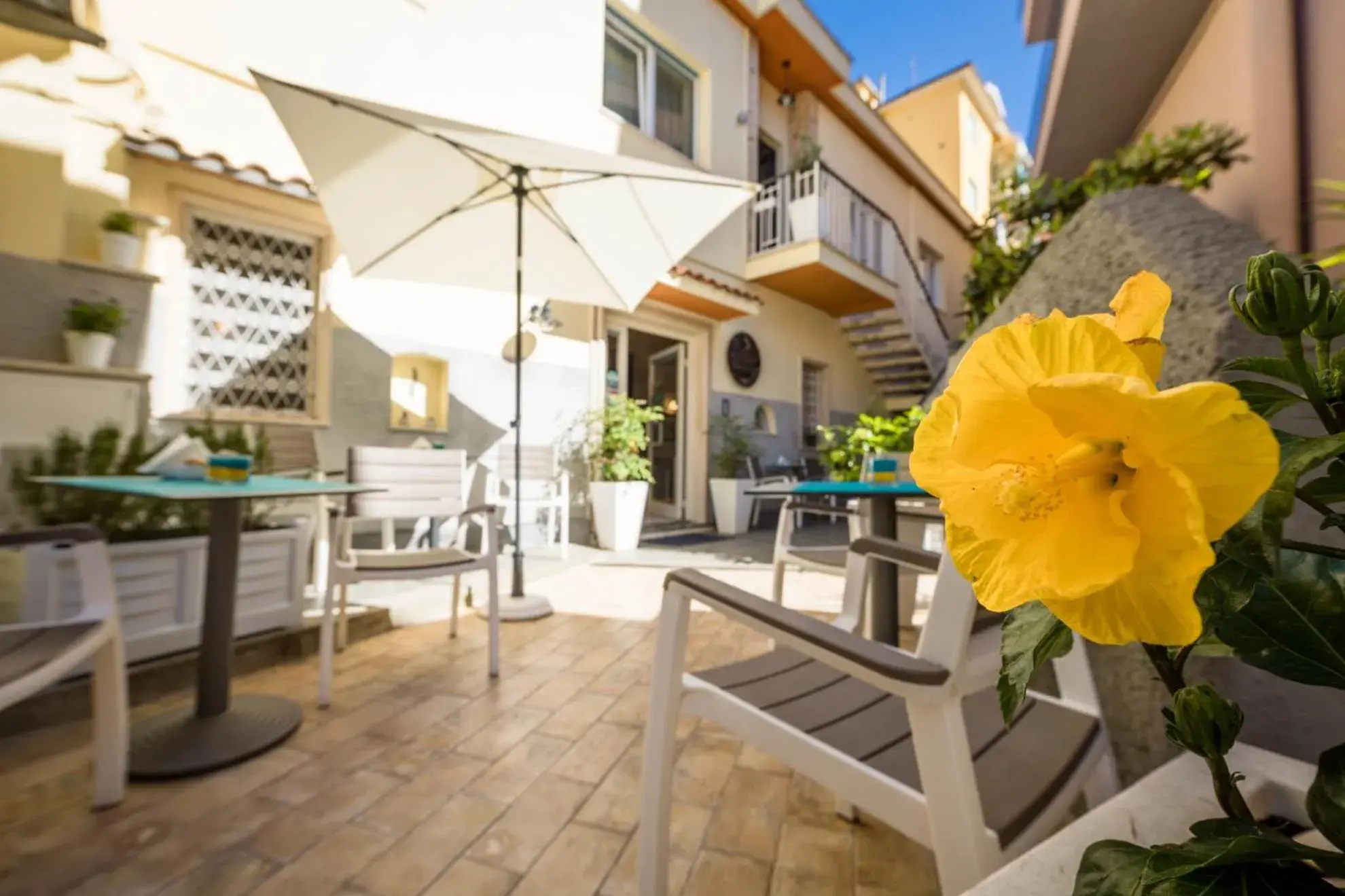 Hotel Conchiglia Hotel Conchiglia