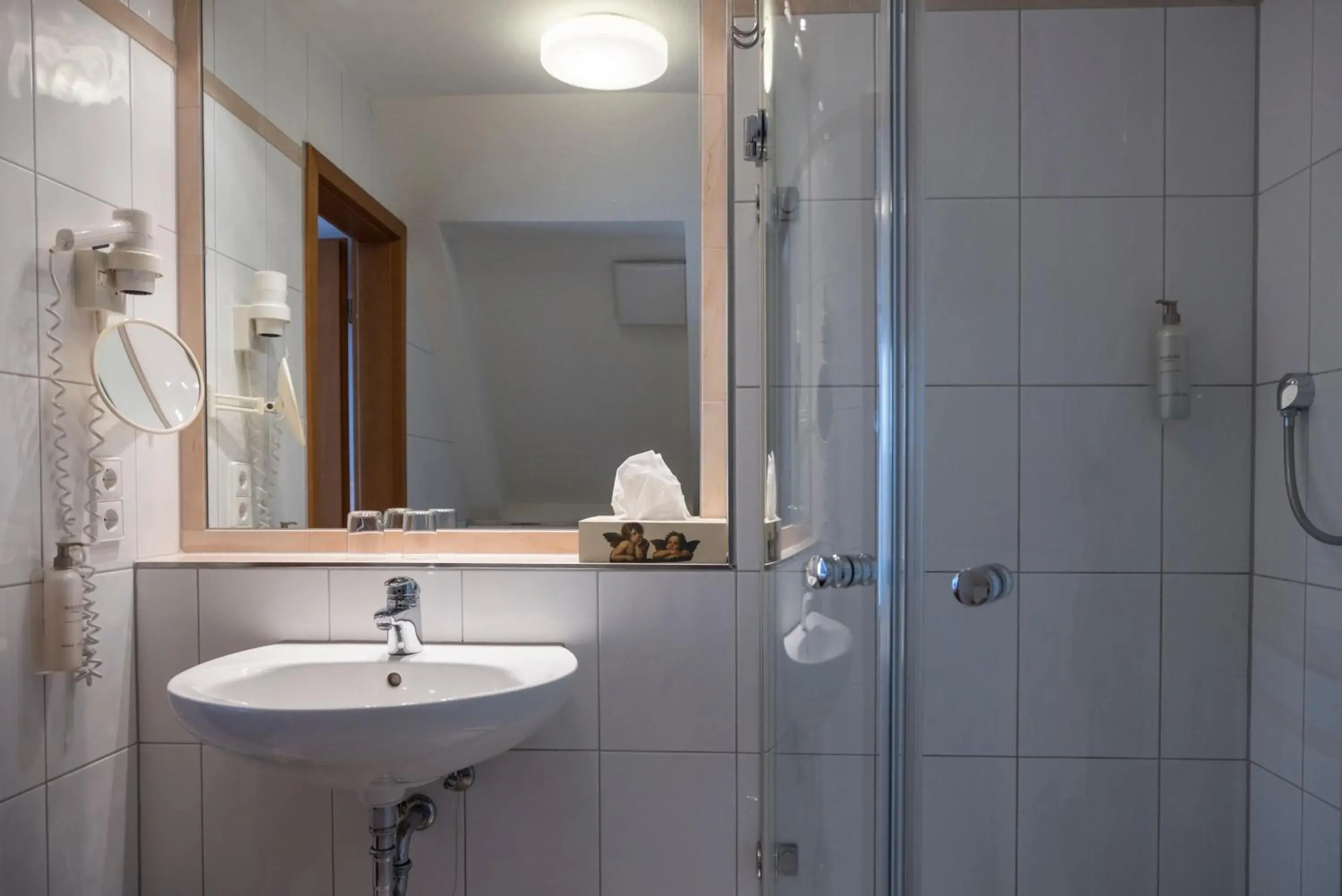 Standard Single Room - single occupancy in Widmann's Löwen Standard Single Room - single occupancy in Widmann's Löwen